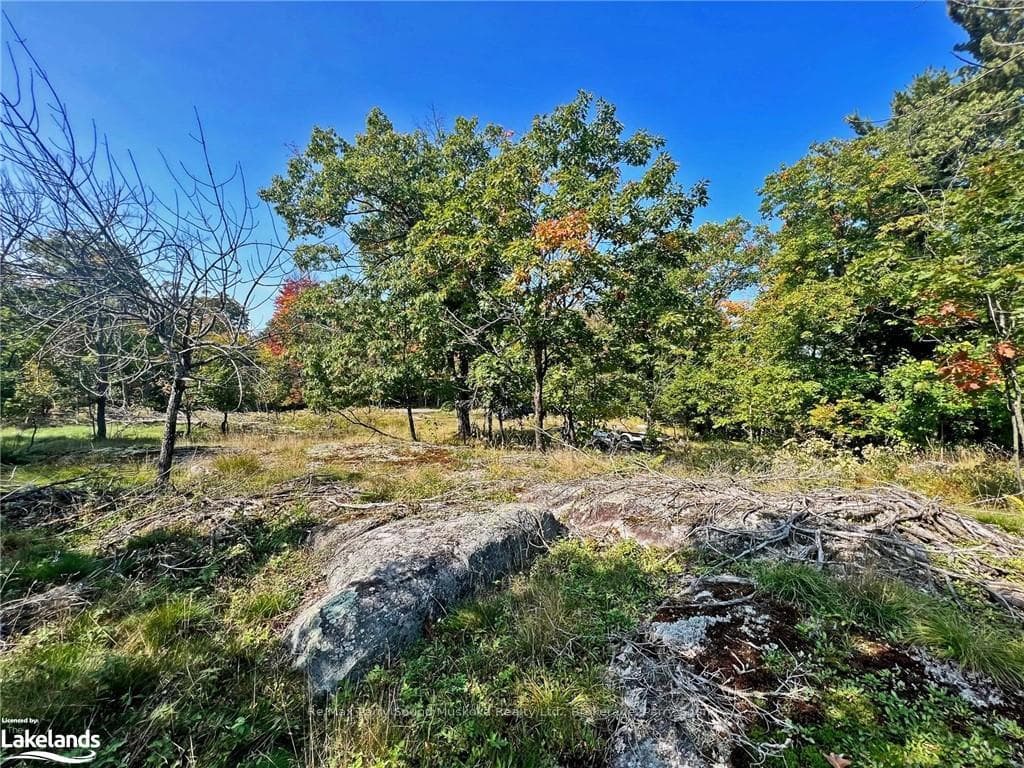 112 BAYVIEW Drive photo 6