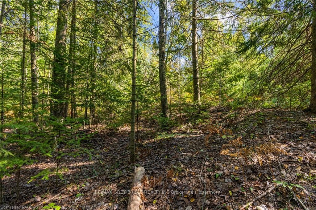 LOT 36 SAUBLE FALLS Parkway photo 4