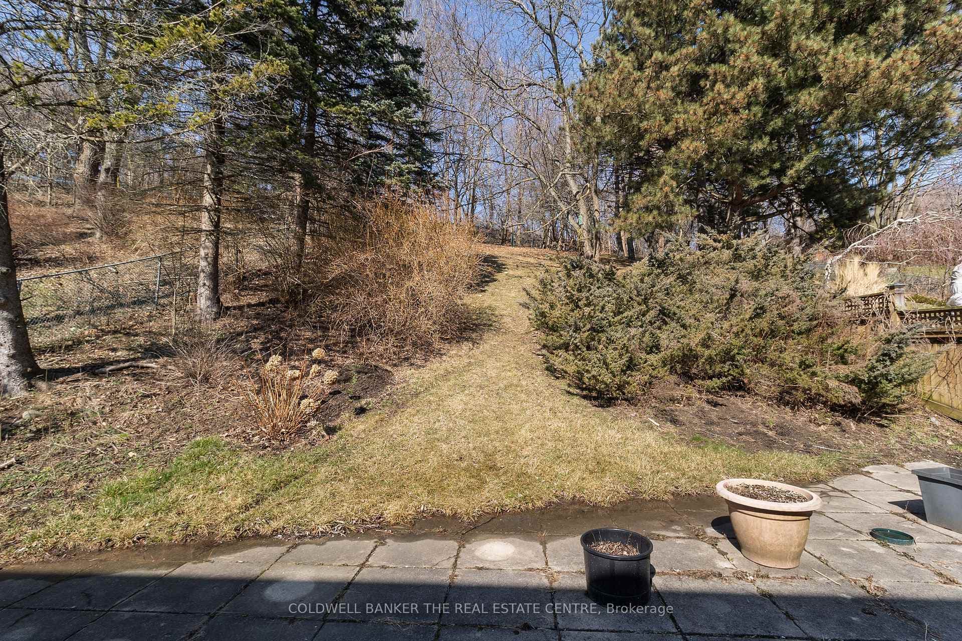 102 Catalina Drive photo 30