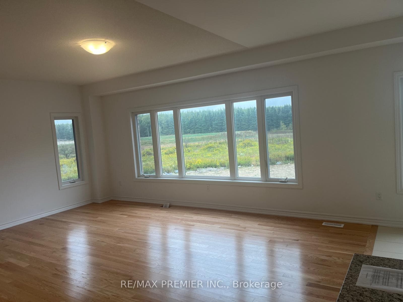 103 Morgan Avenue photo 8