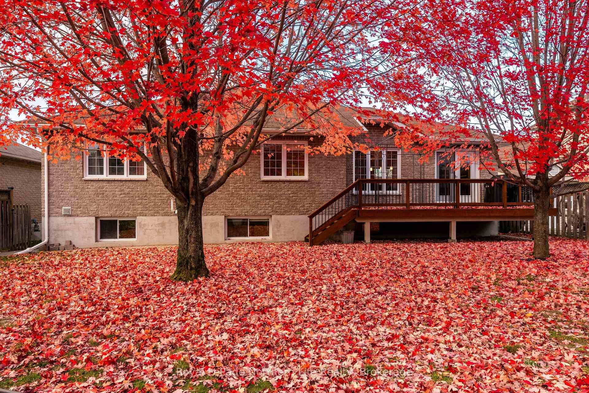 27 Vermont Crescent photo 43