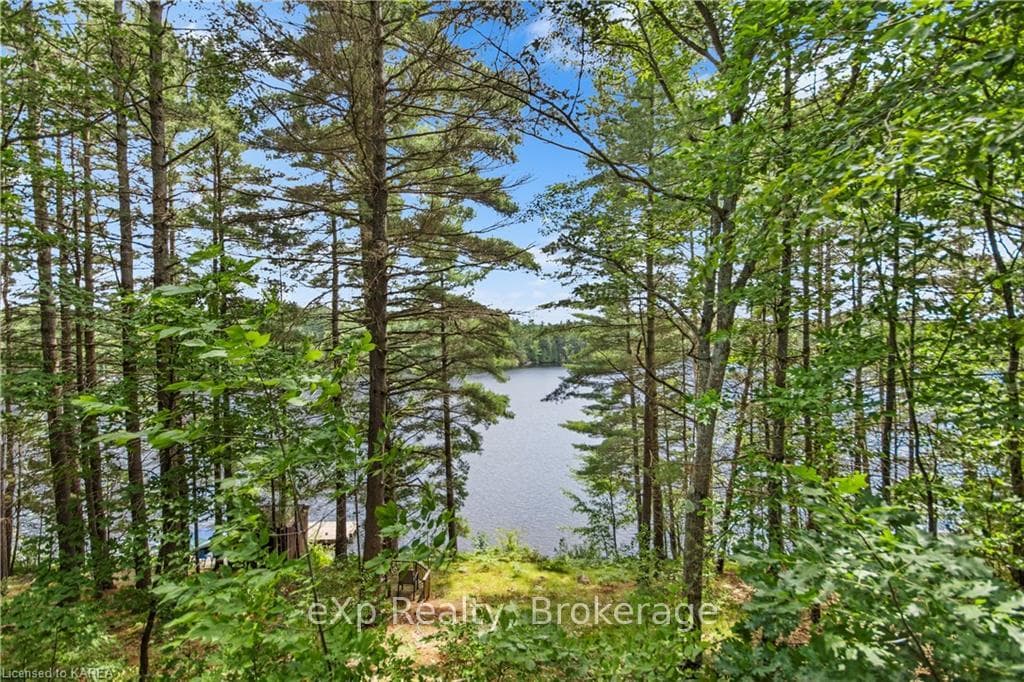 1138 RICHMOND Lane photo 32