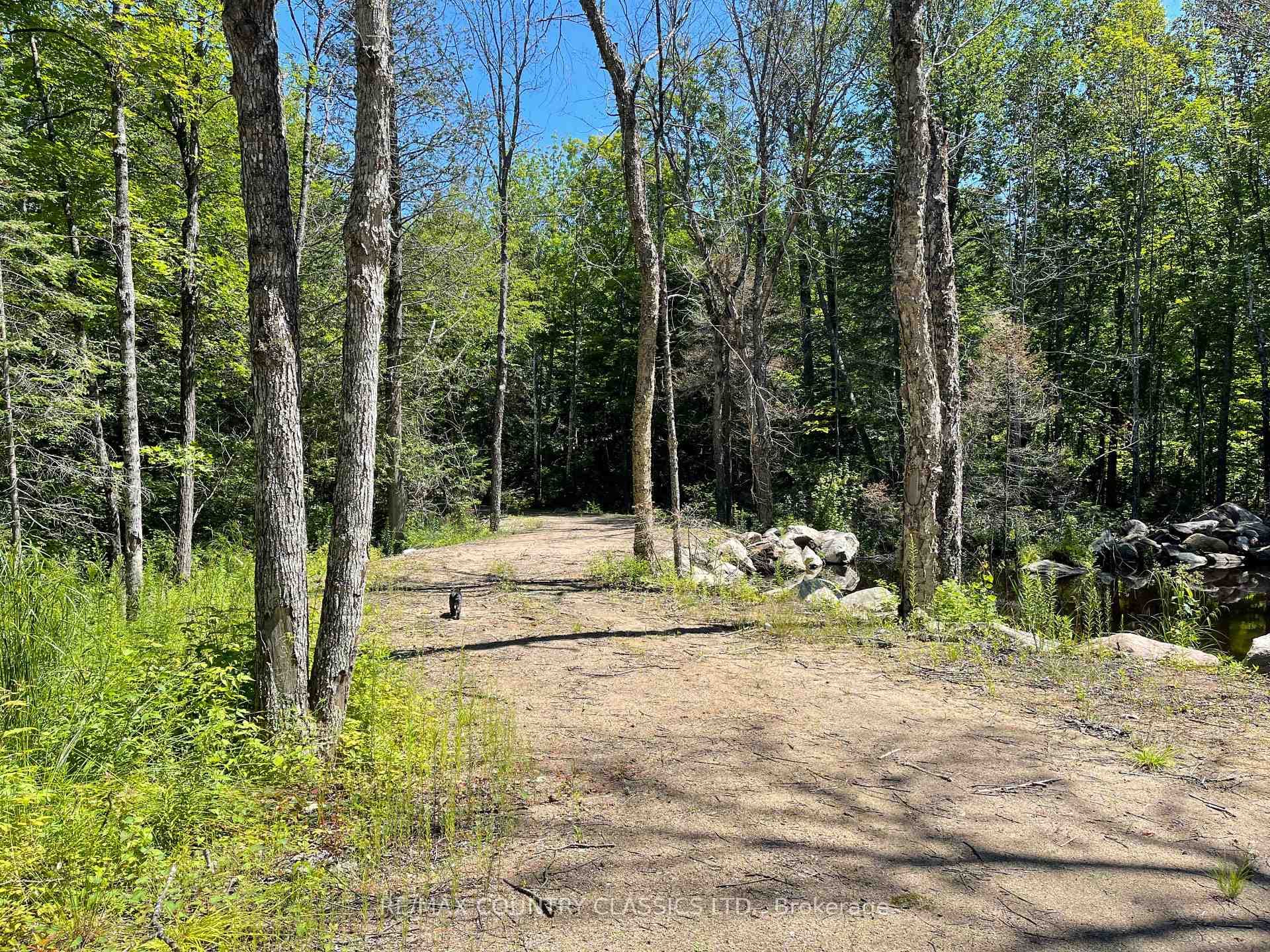 001 O'Grady Settlement Road photo 16