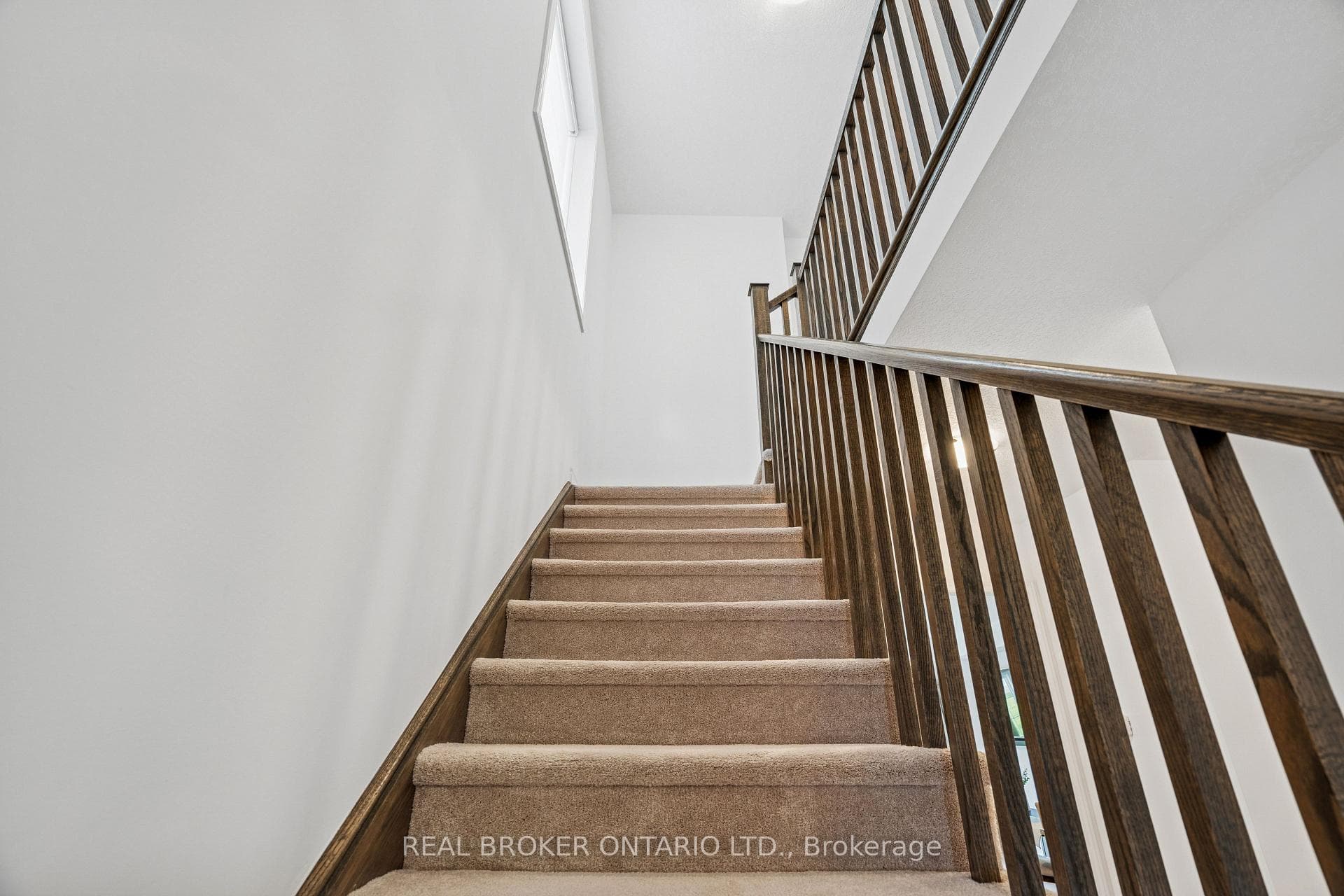 9 Elsegood Drive photo 20