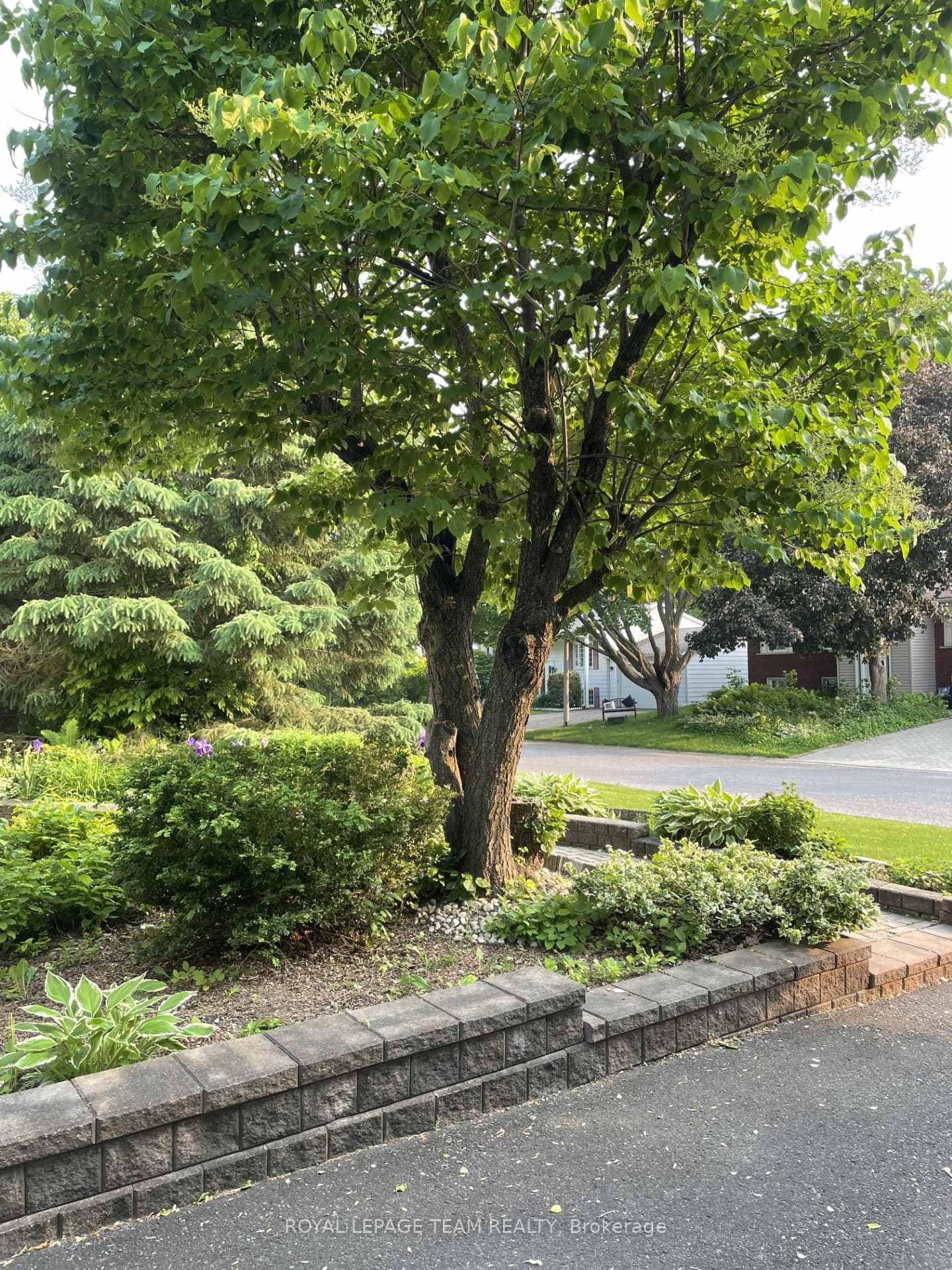 30 Juniper Court photo 25