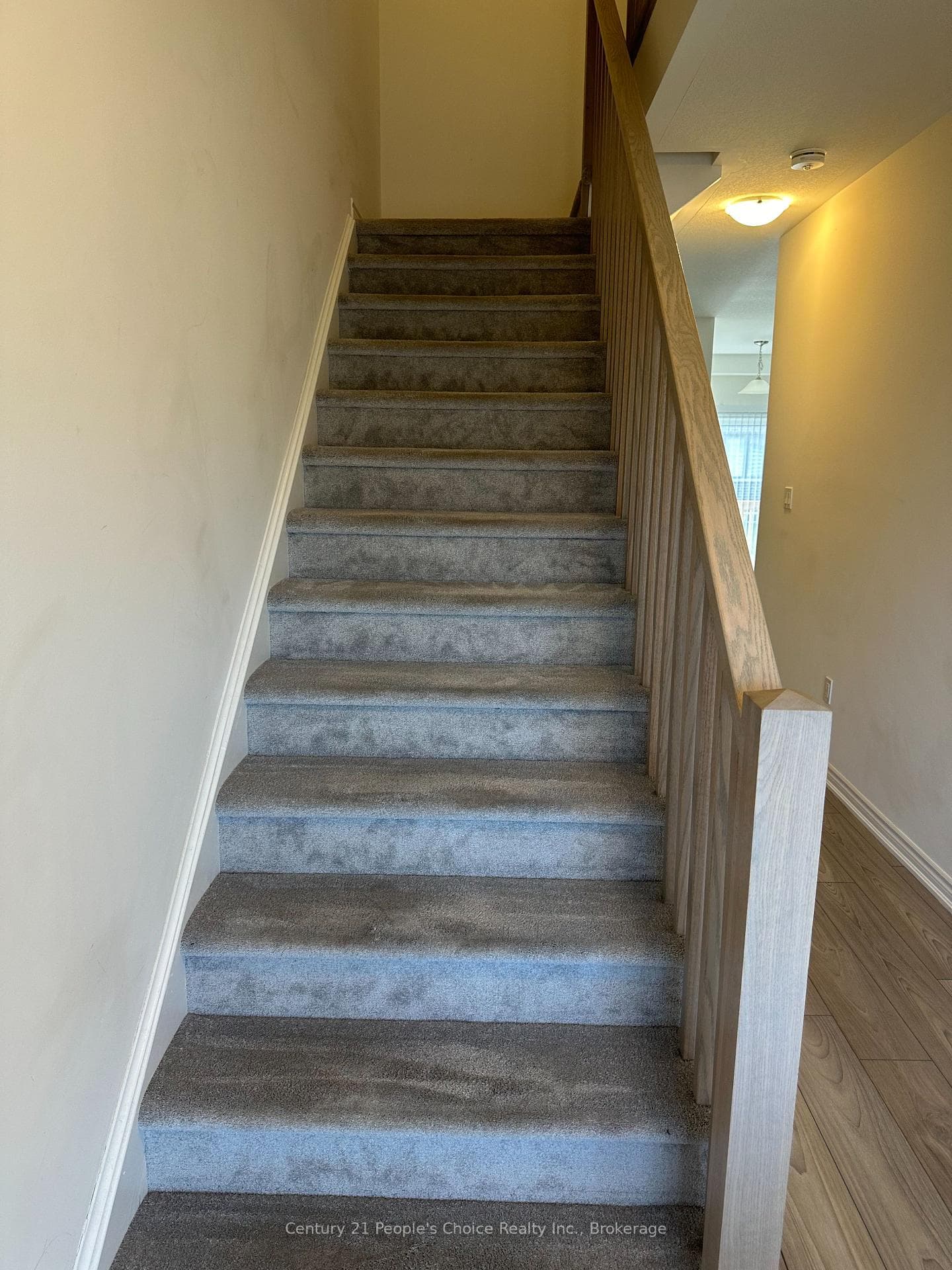 19 Tooker Drive photo 19