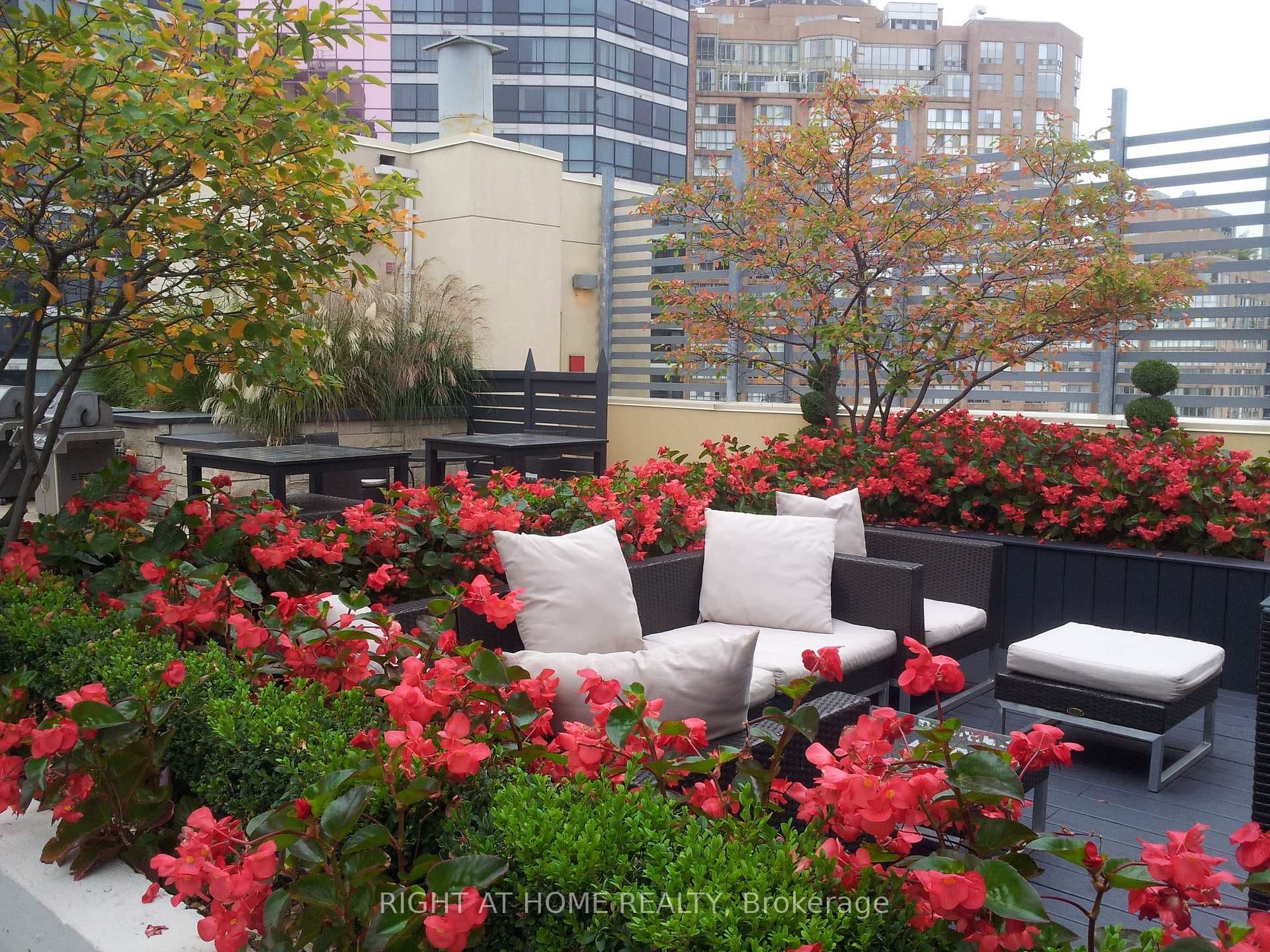Rooftop Deck