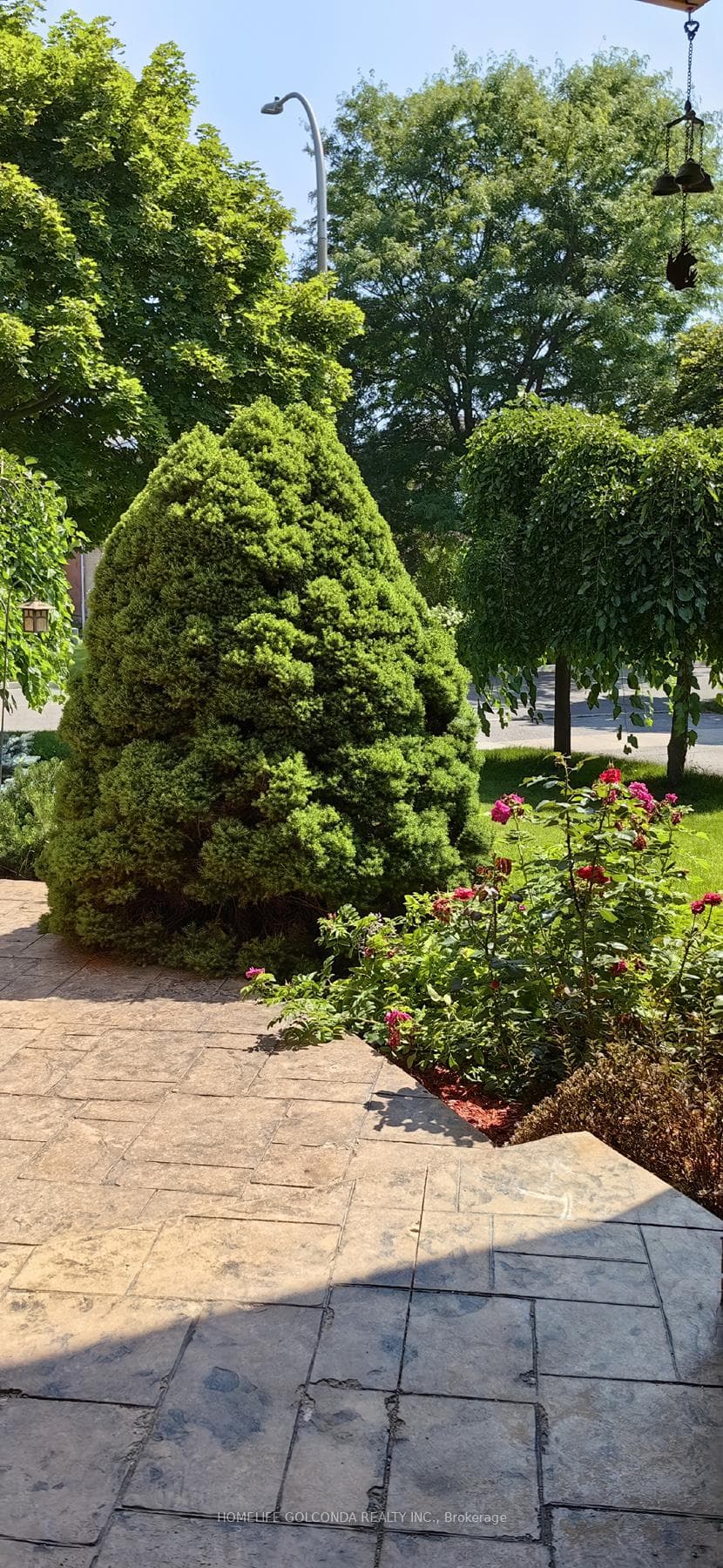 17 Goodwood Drive photo 3
