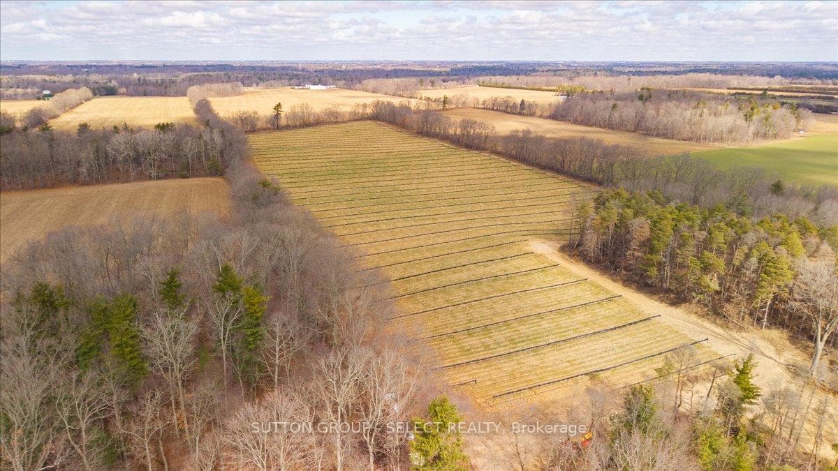 451 Colonel Talbot Road photo 31