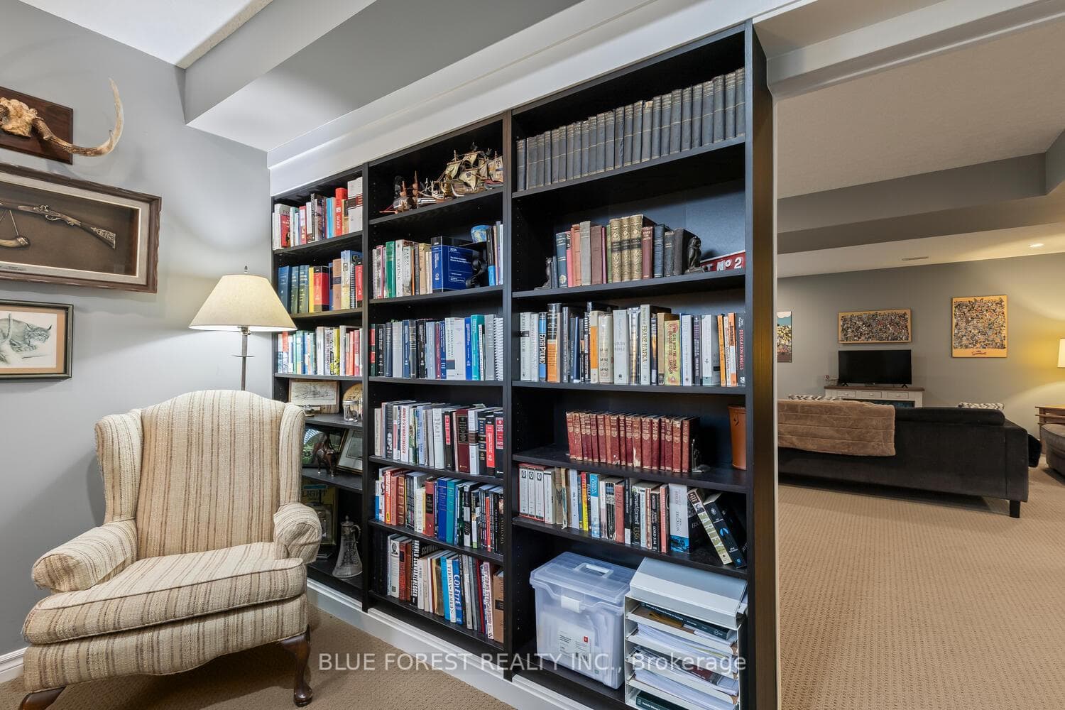 123 Watson Street photo 29