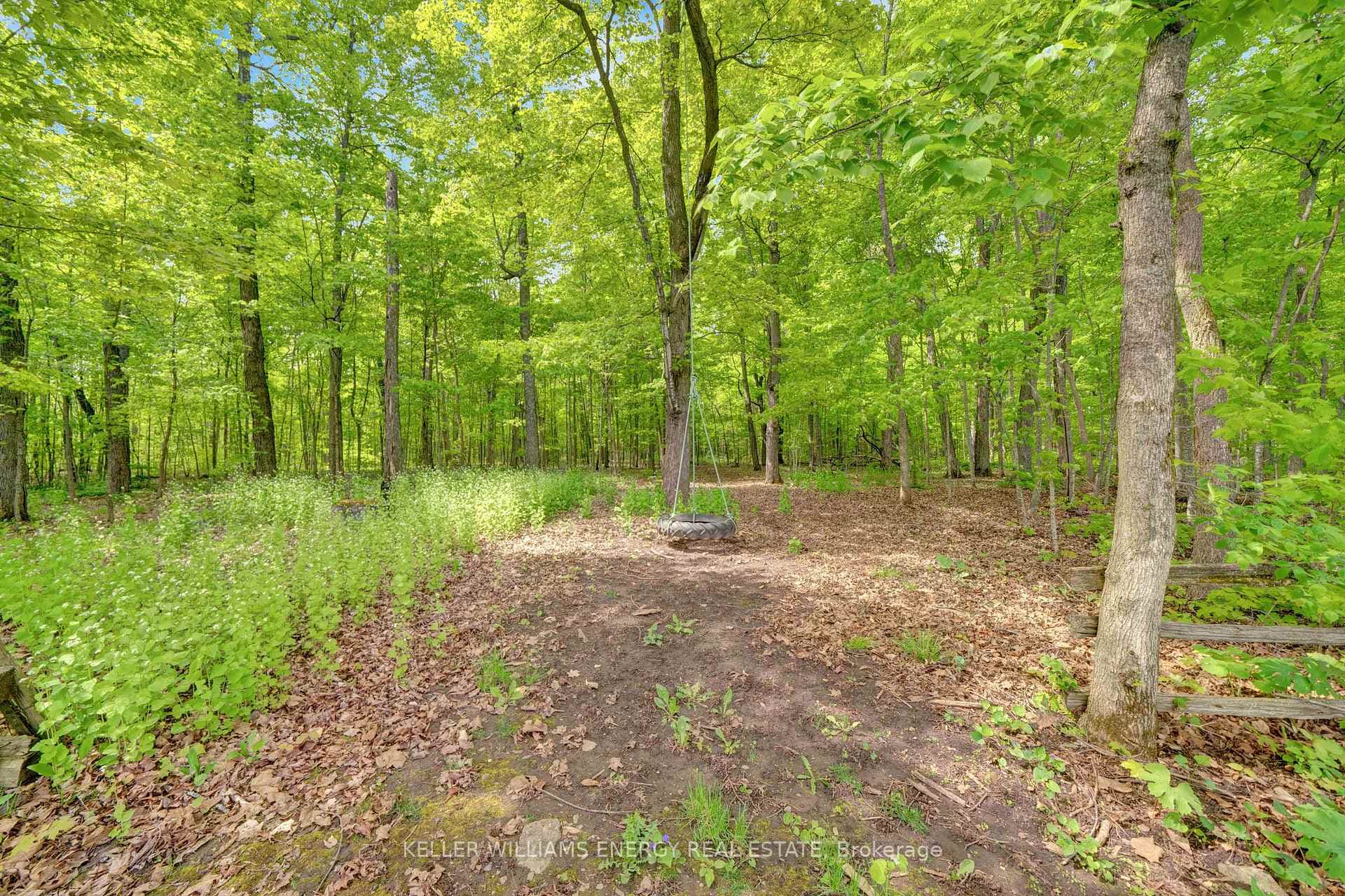 1679 County Road 5 Road photo 36
