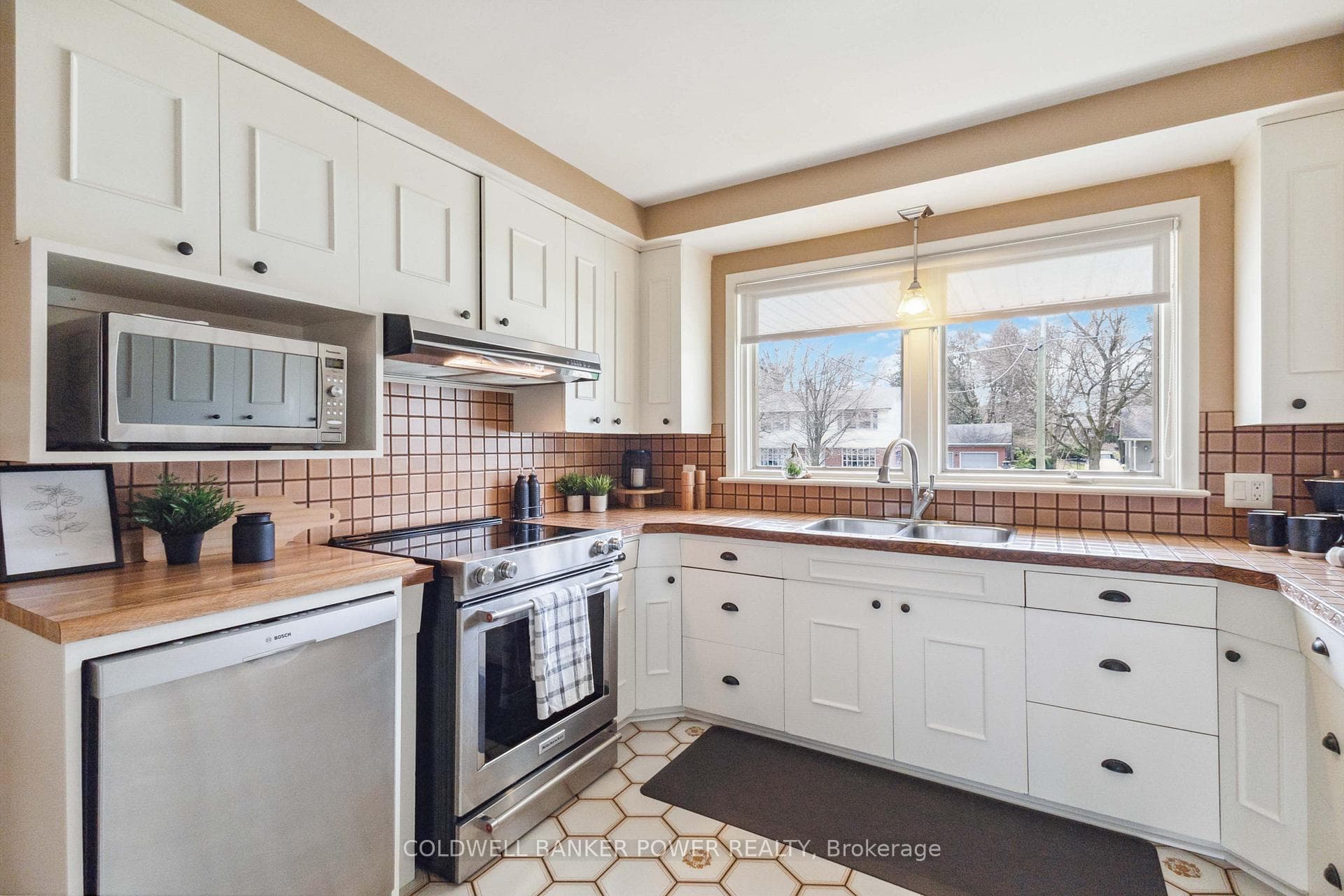 37 Heathcote Avenue photo 19
