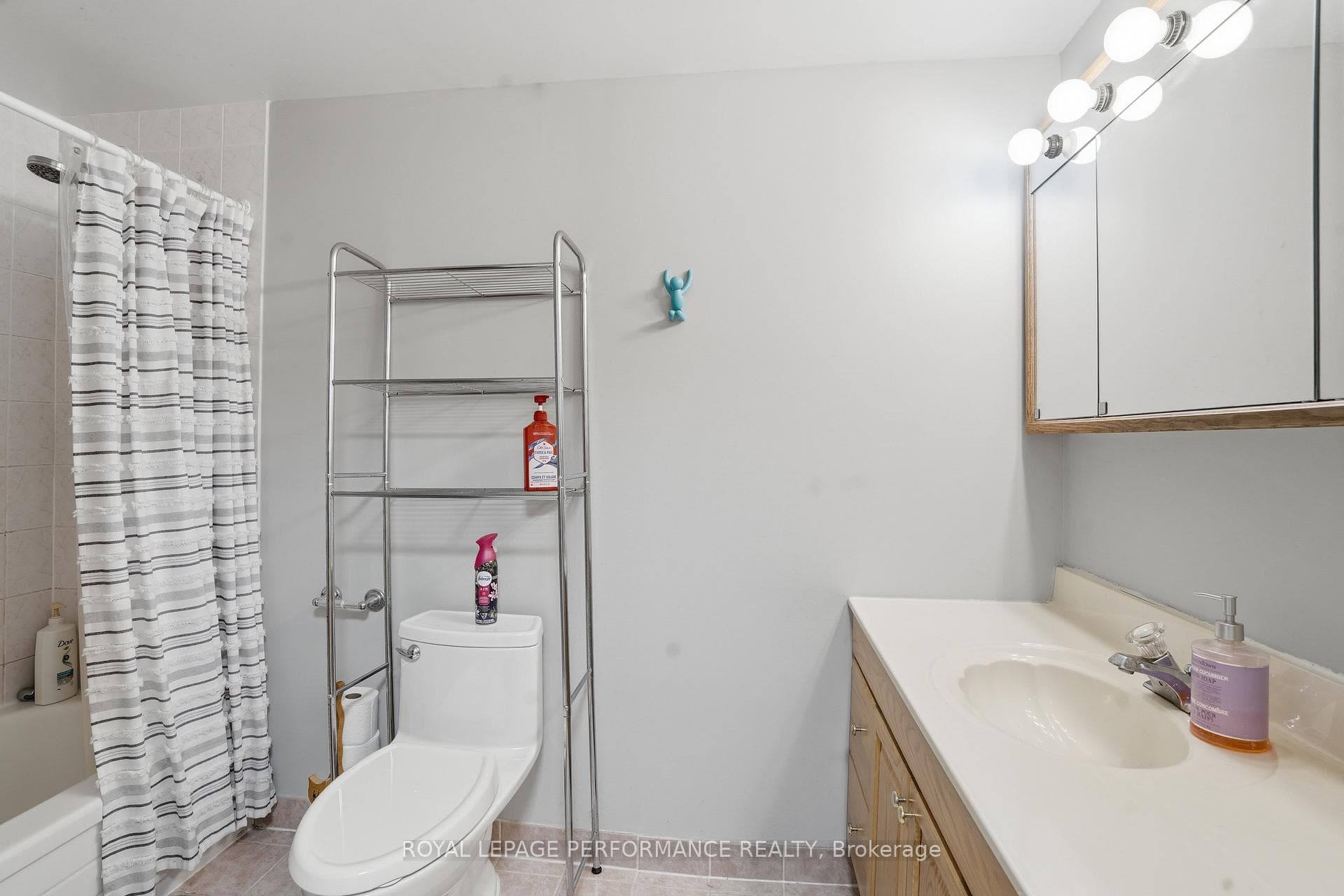 249 Romulus Private Unit 94 photo 15