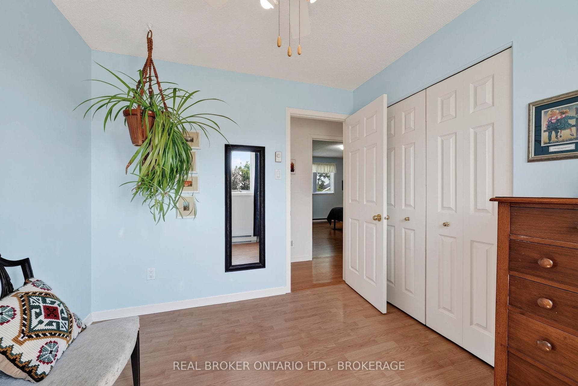 11 Albert Street photo 25