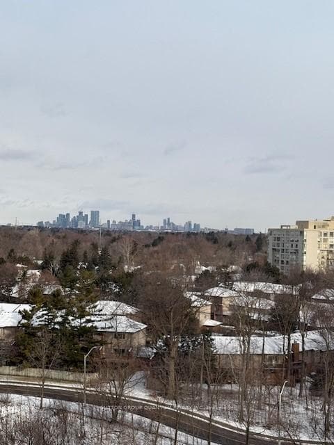 1035 Southdown Road Unit 1001 photo 21