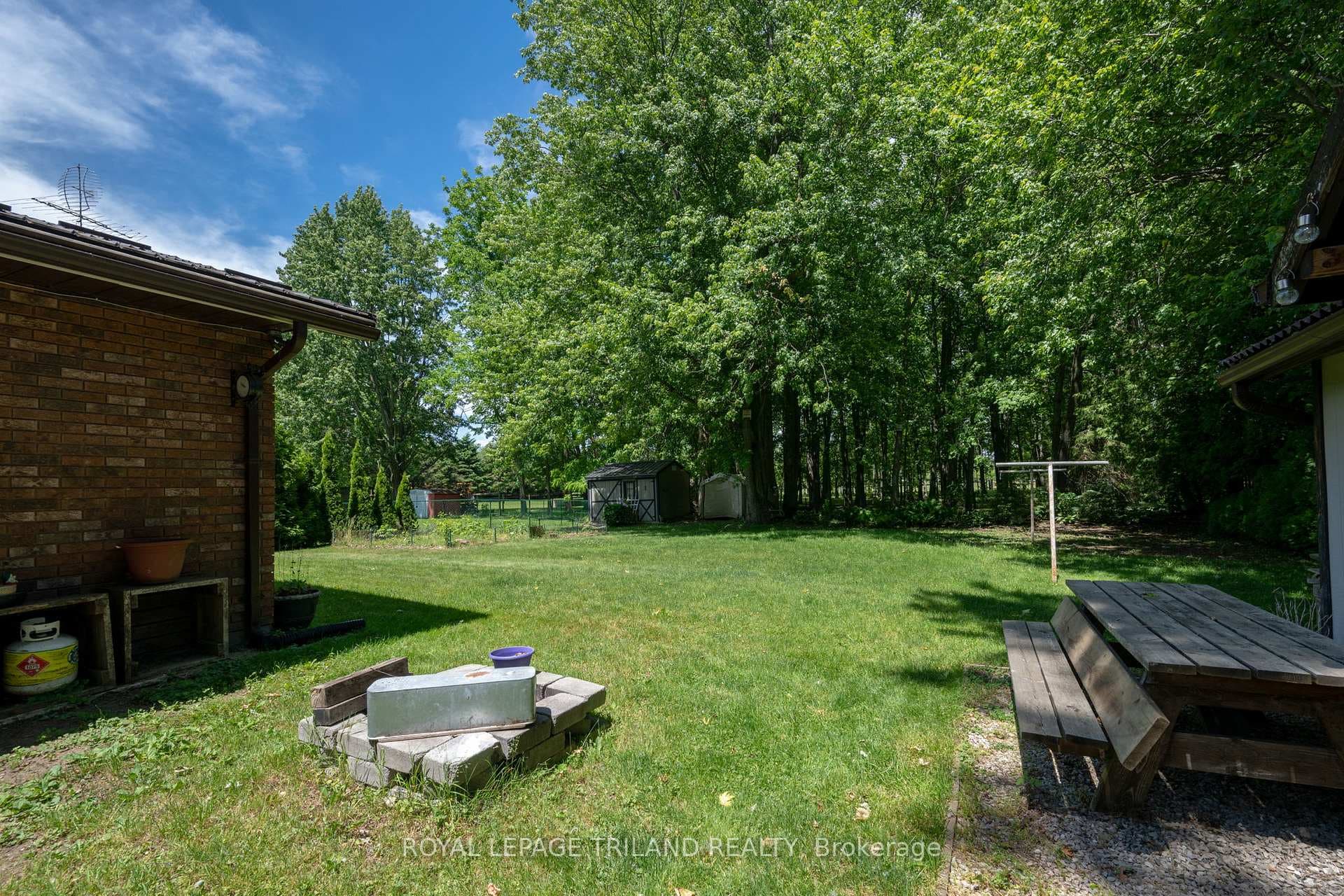 22516 Pioneer Line photo 31