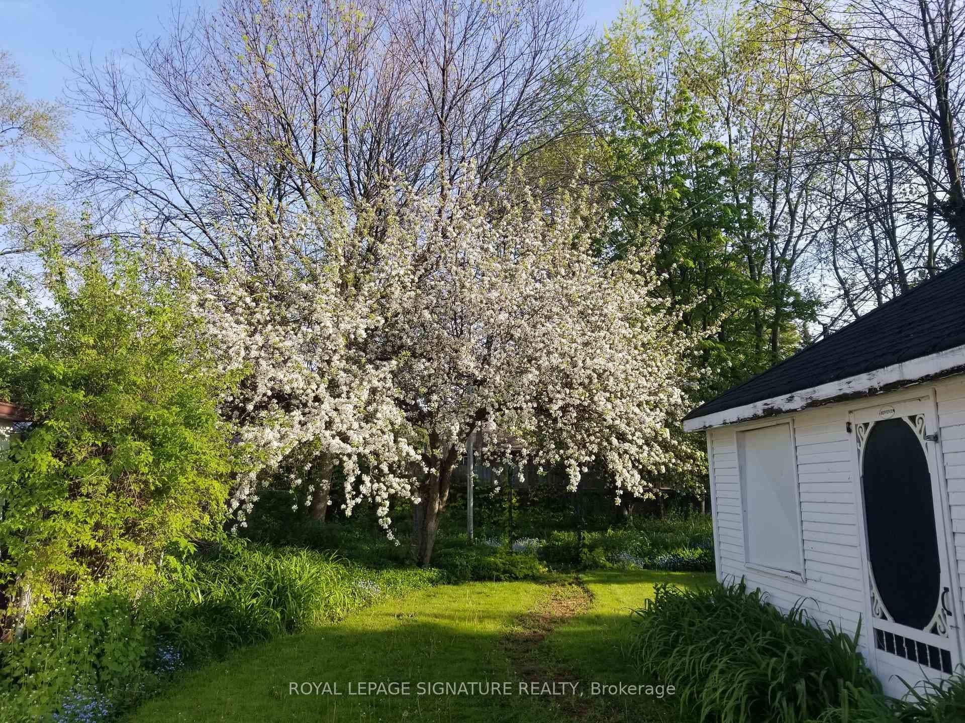 6 Jasmine Avenue photo 38