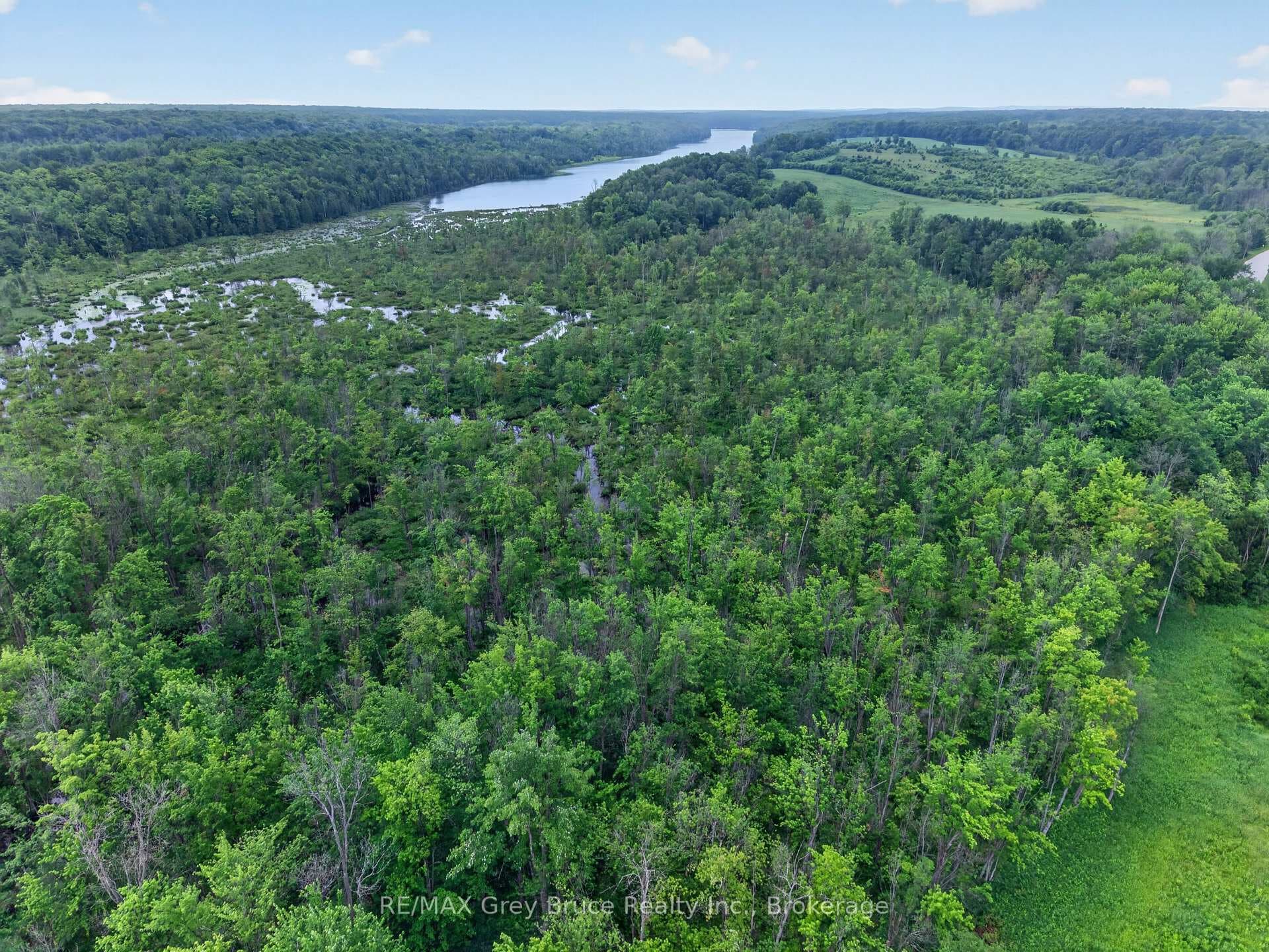 403211 CONCESSION RD 20, GEORGIAN BLUFFS Concession photo 8