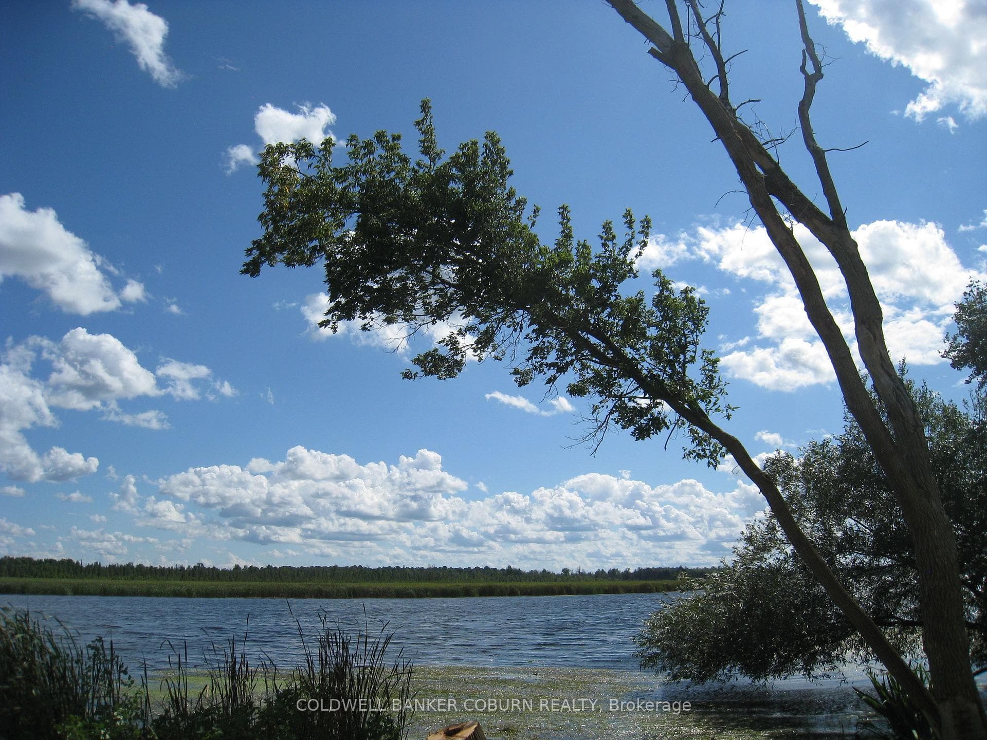 View to water