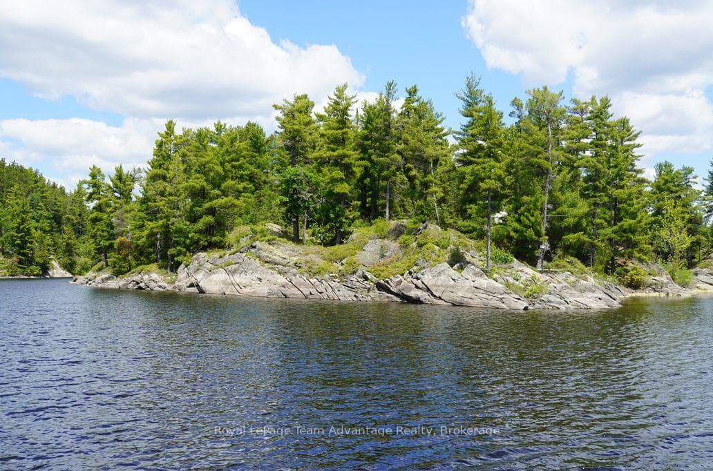 TP3411 ISLAND FRENCH RIVER N/A photo 26