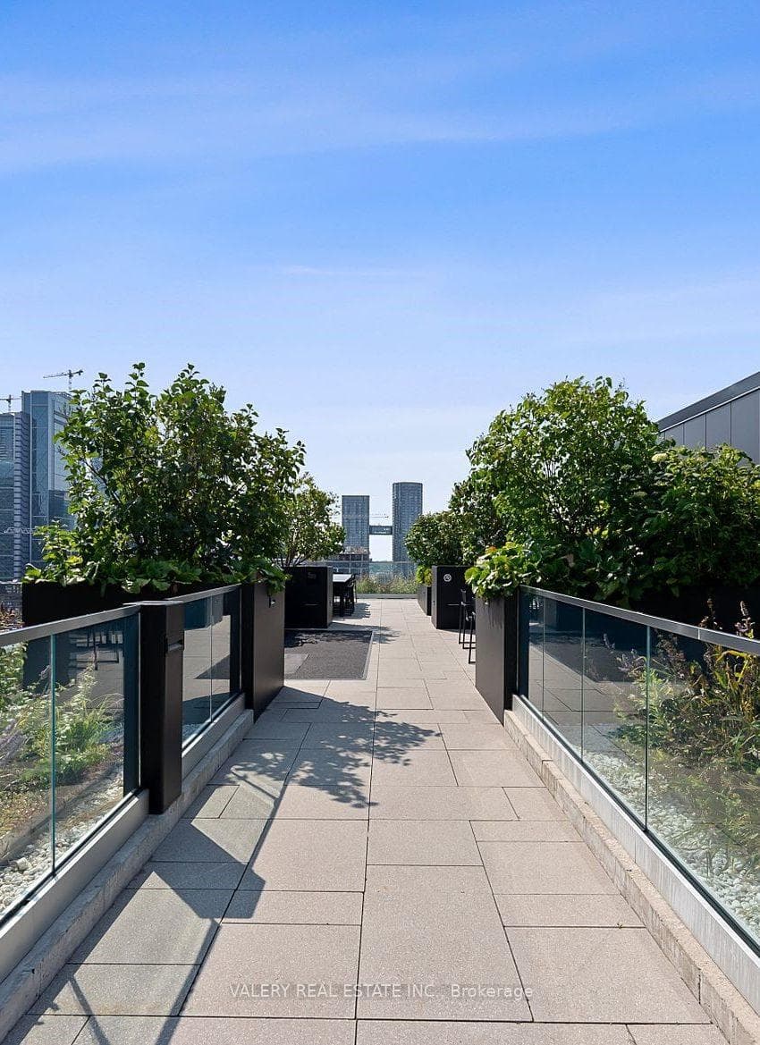 Rooftop BBQ Area