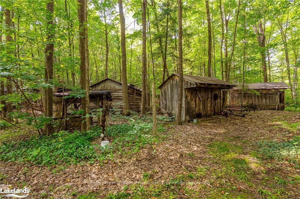 1039 TWELVE MILE LAKE Road photo 35