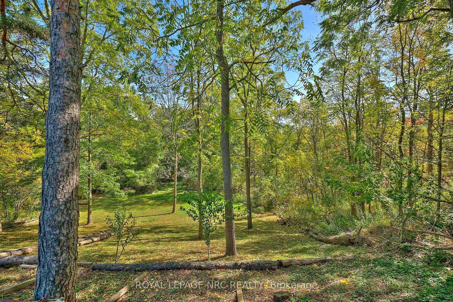81 Riverview Boulevard photo 16