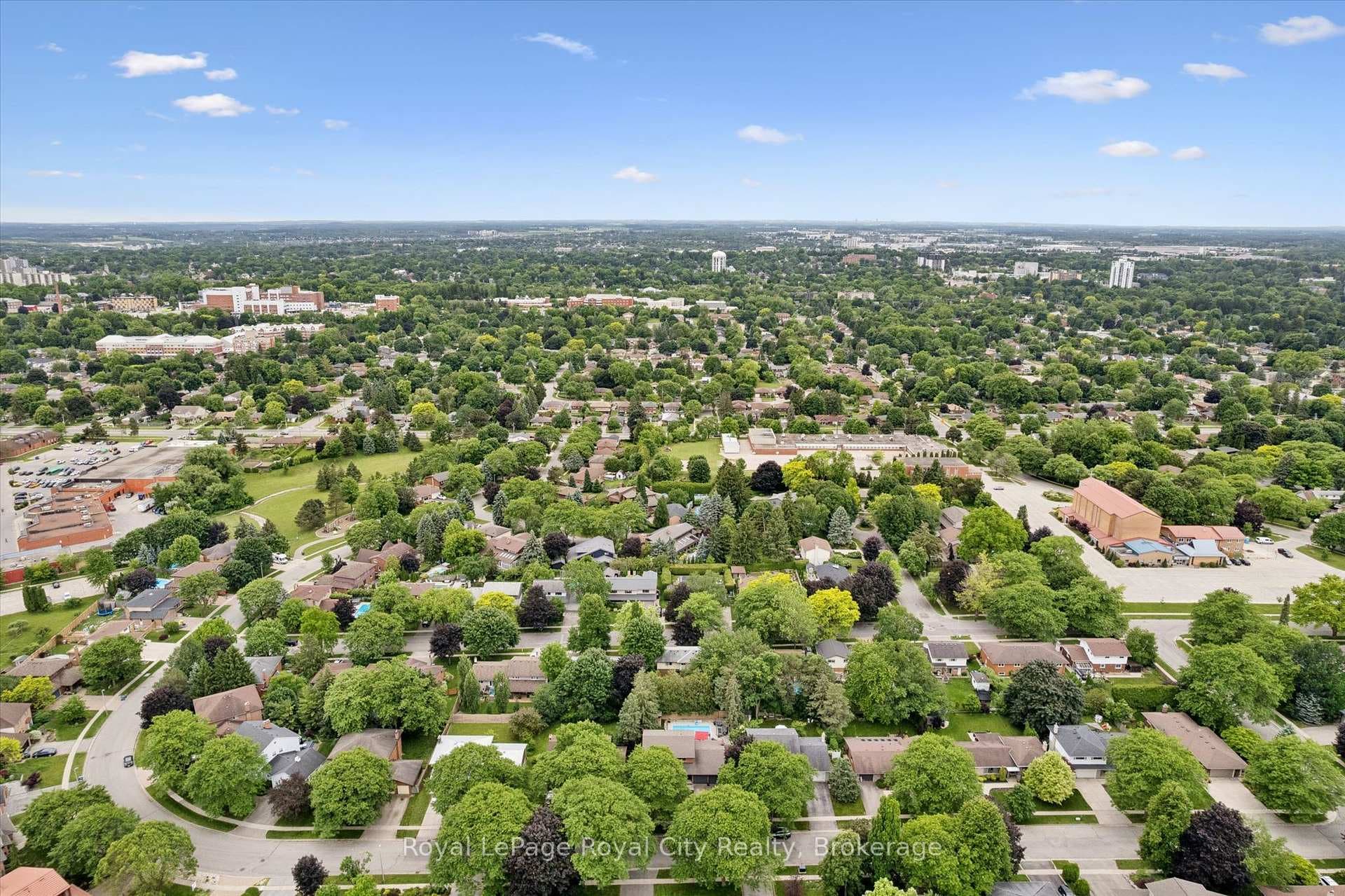 40 Walnut Drive photo 46