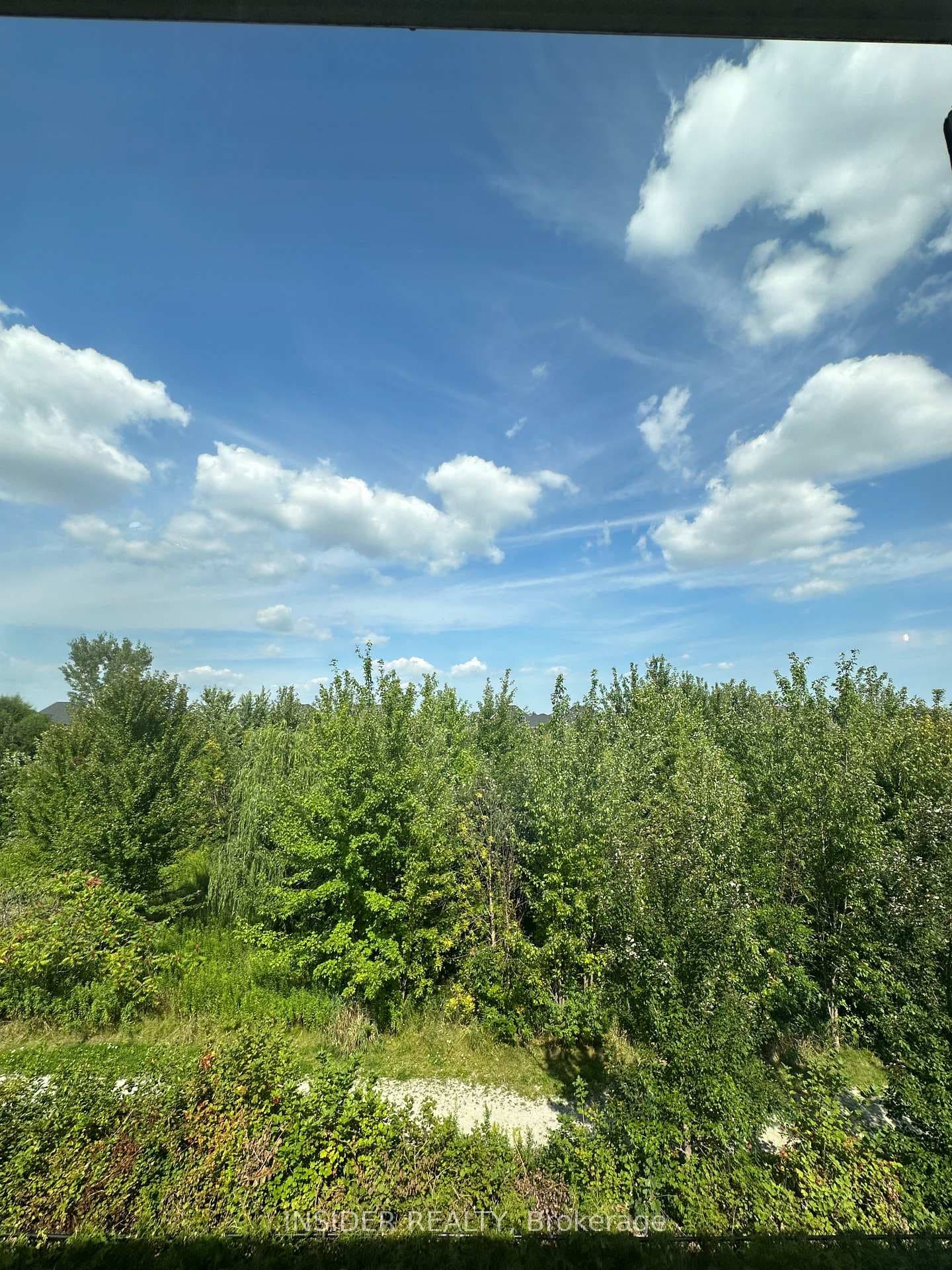 467 Hinchey Crescent photo 2
