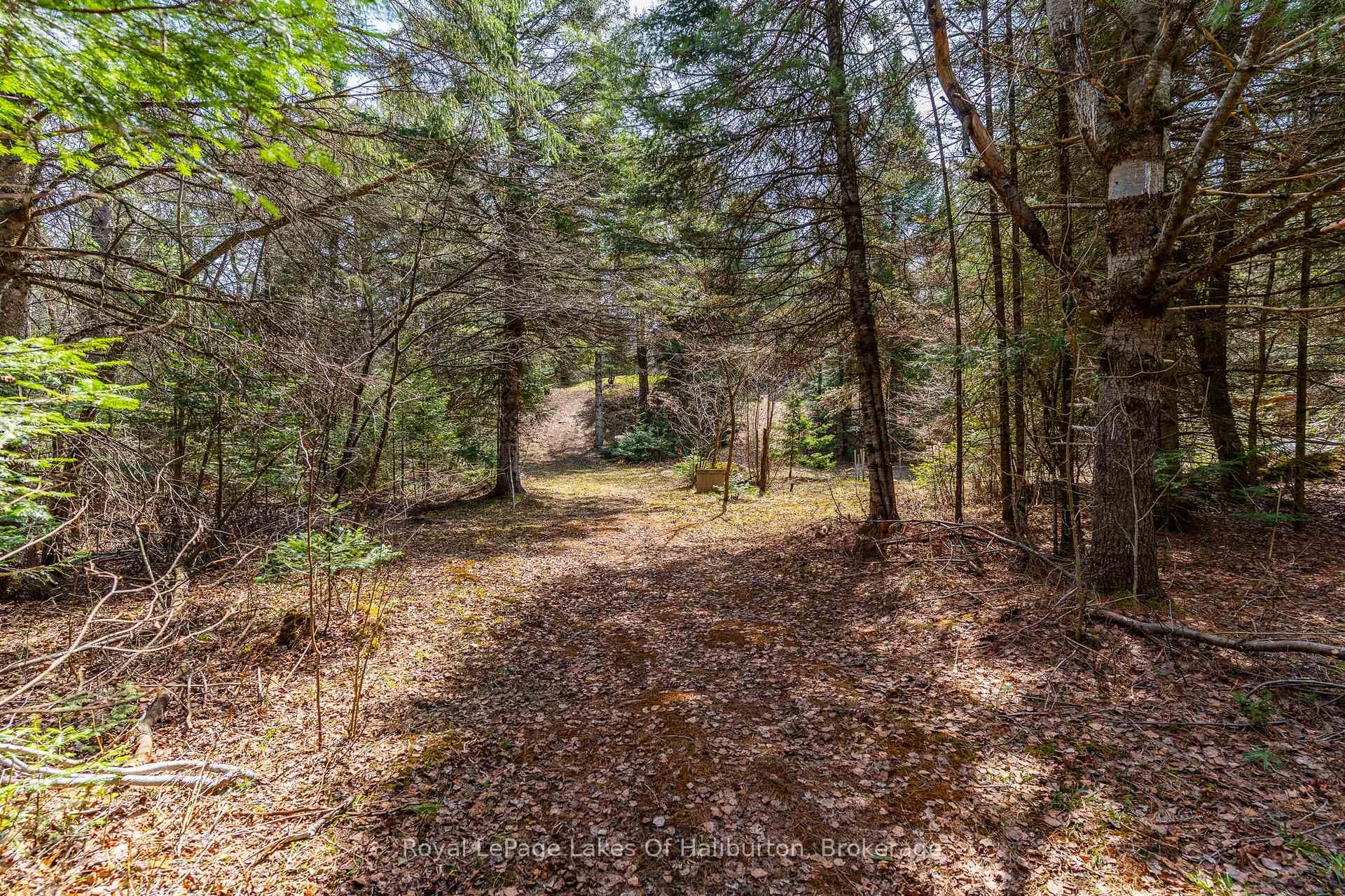 1033 Bayberry Lane photo 41