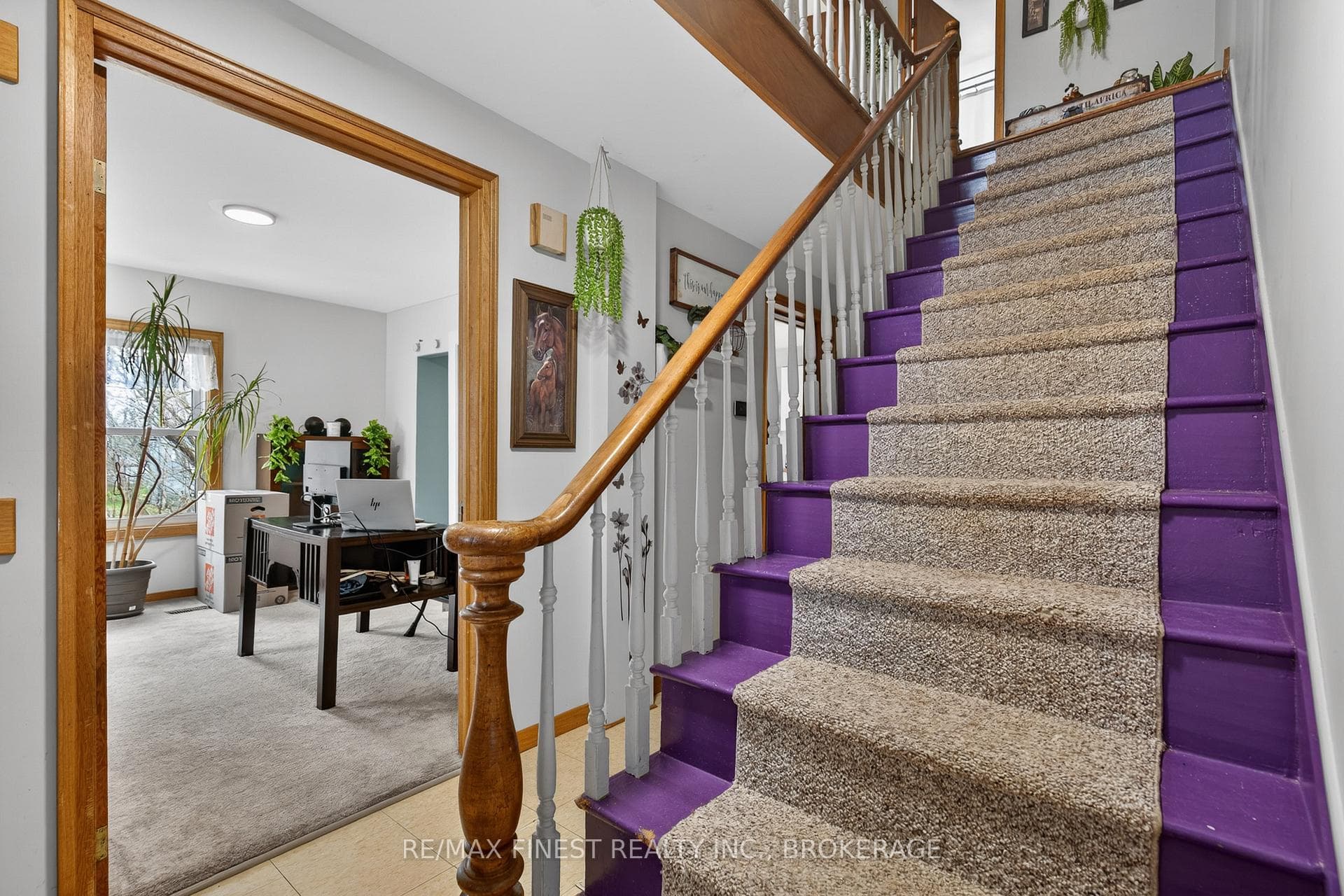 4 Gilbert Street photo 30