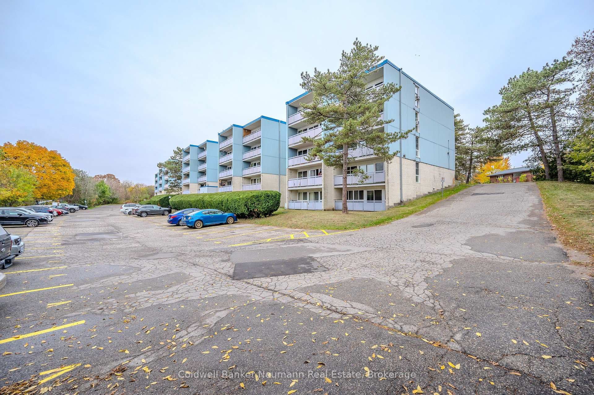 105 Conroy Crescent Unit 511 photo 2