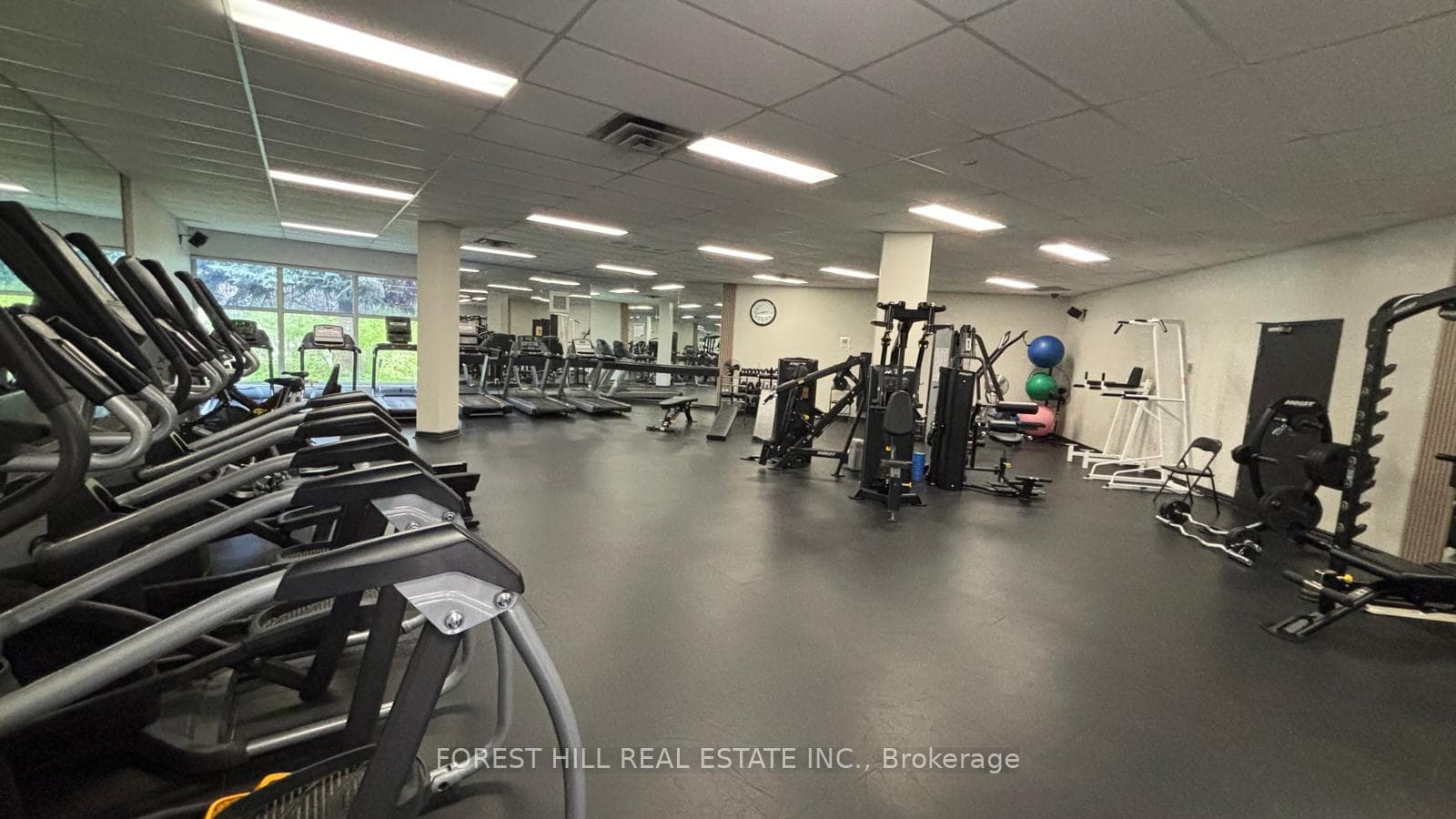 20 Harding Boulevard Unit 110 photo 21