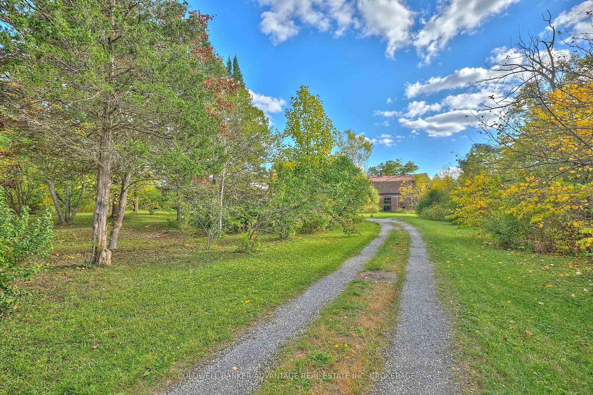 925 Carl Road photo 3