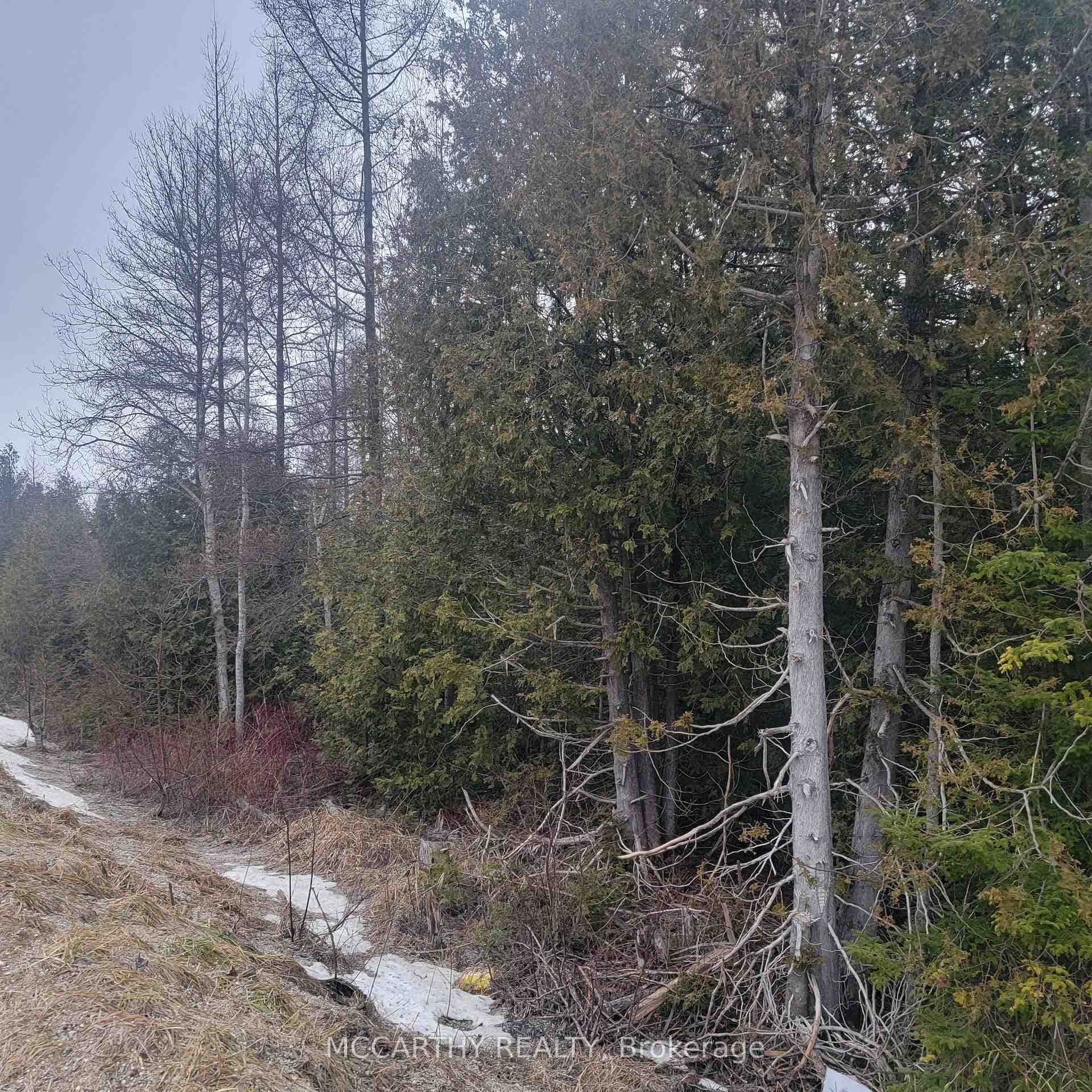 348295 4TH CON B N/A photo 7