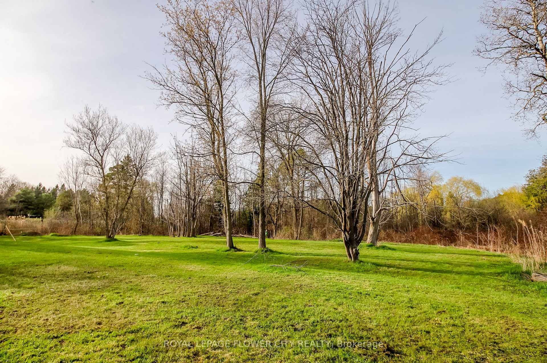 7555 Old Church Road photo 38