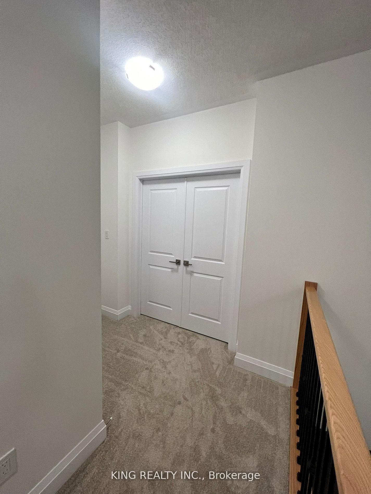 27 Carina Street photo 27