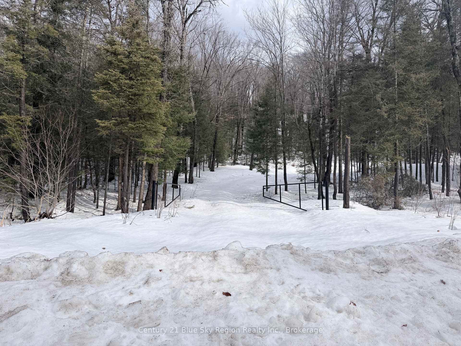 750 Feronia Road photo 2