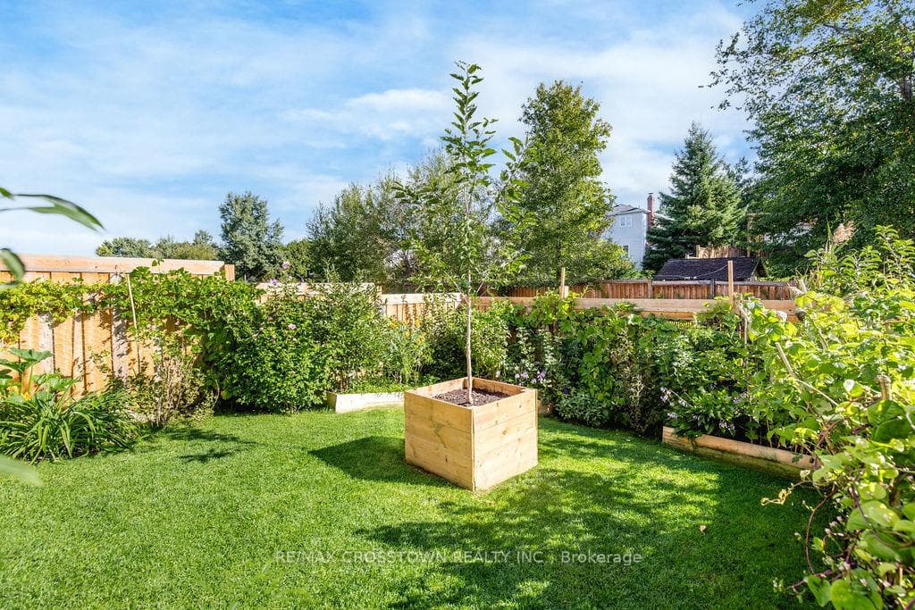 Low Maintenance Gardens