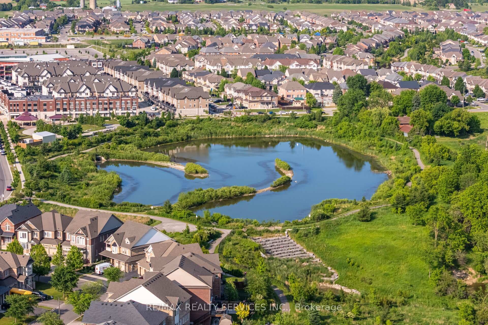 14 Dotchson Avenue photo 48