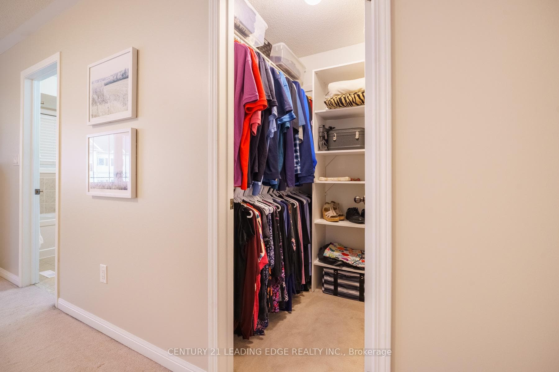 11 Connell Lane photo 19