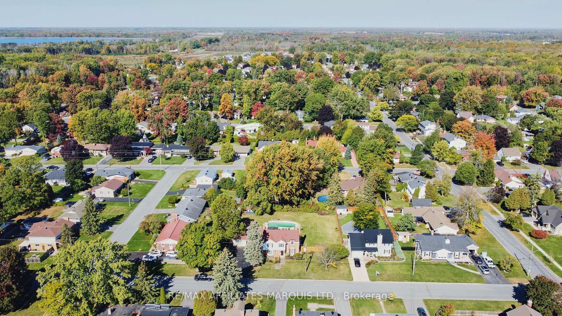 1603 Peter Street photo 46