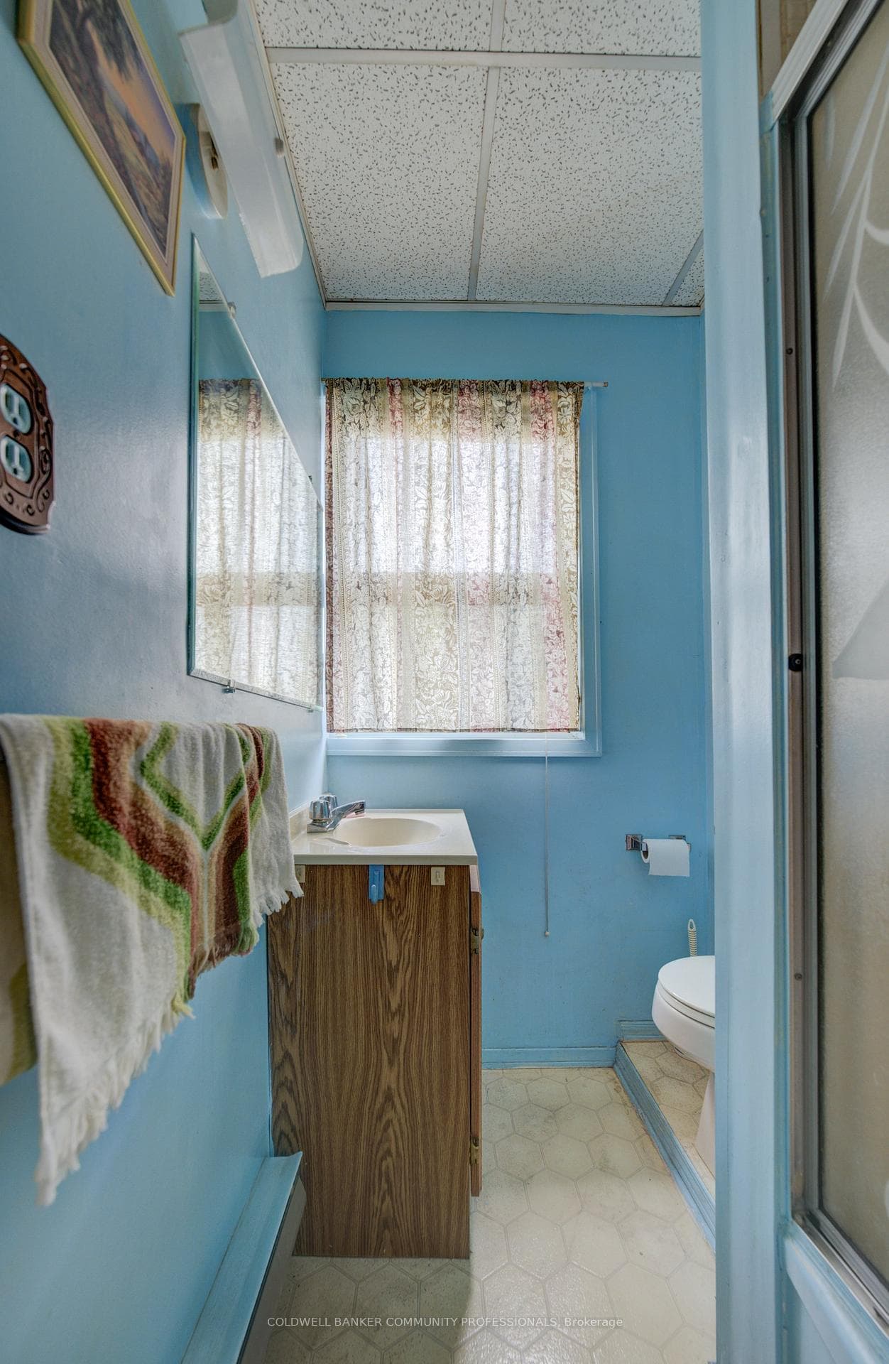 13 Primrose Avenue photo 22