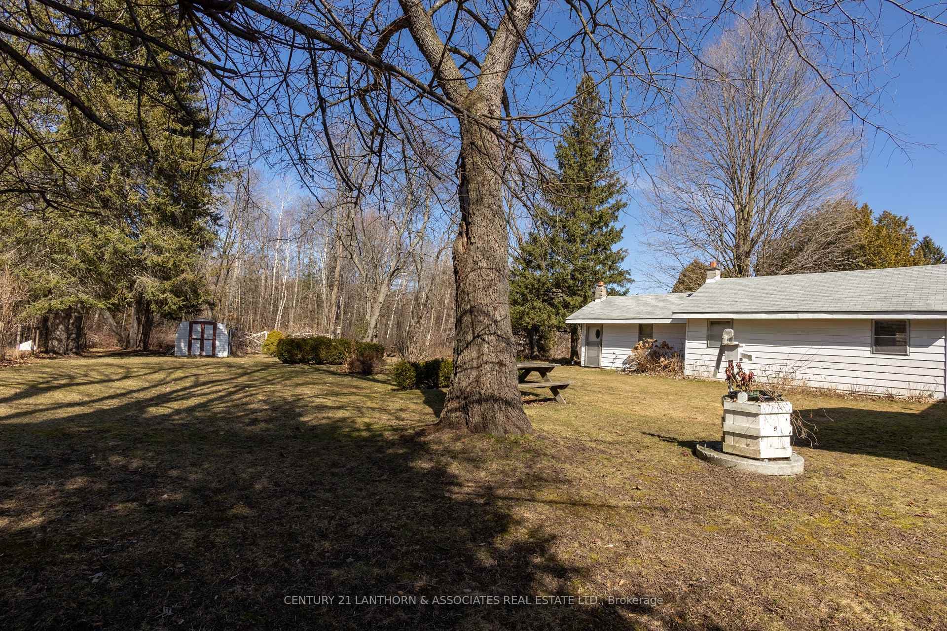 17736 Telephone Road photo 20