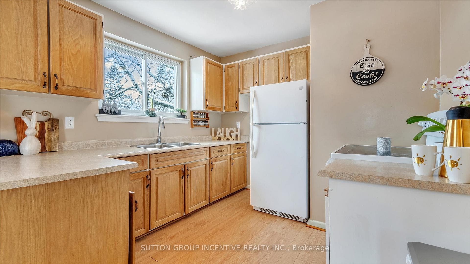 8 Webster Drive photo 11