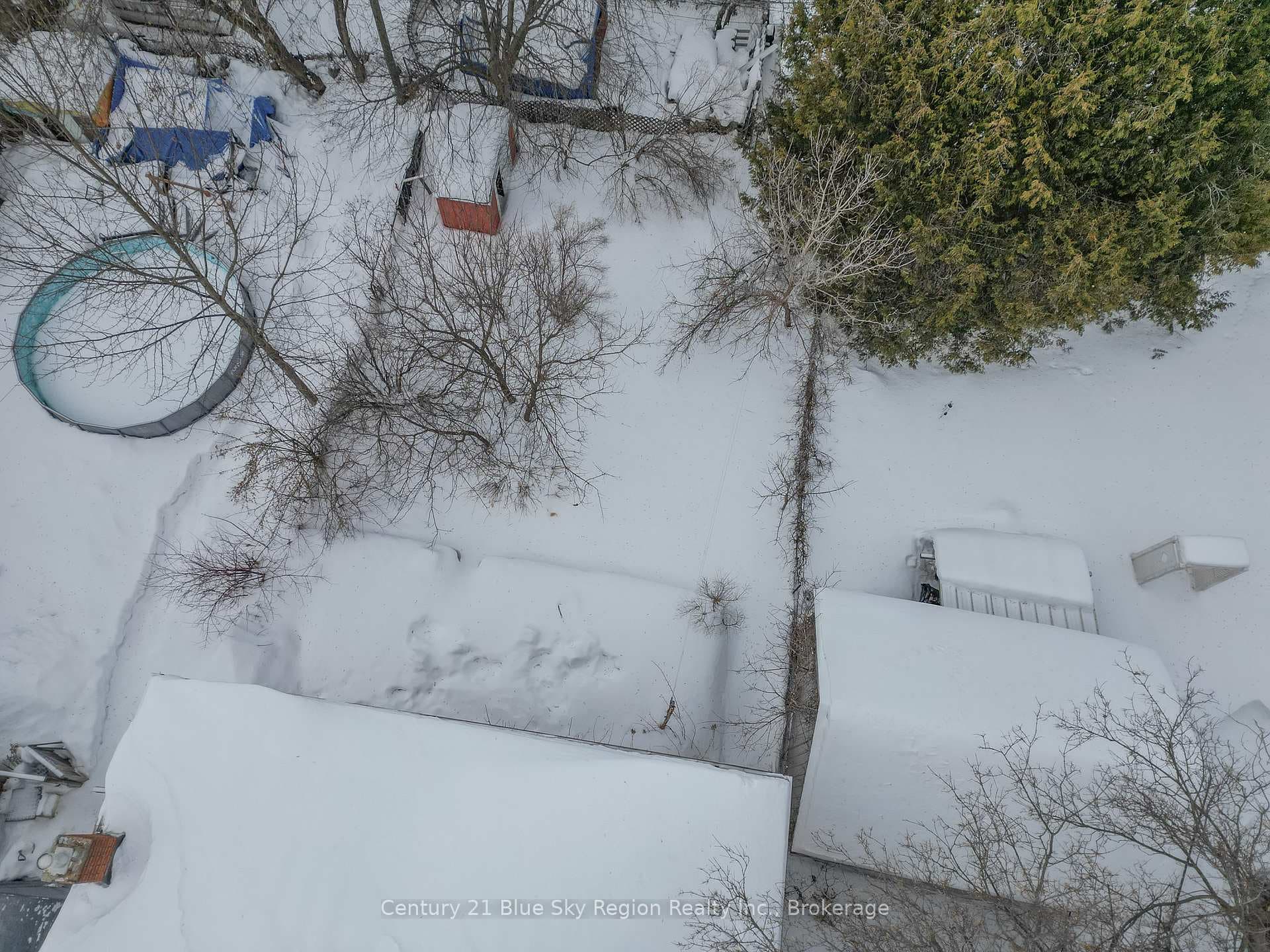 573 McLeod Street photo 9