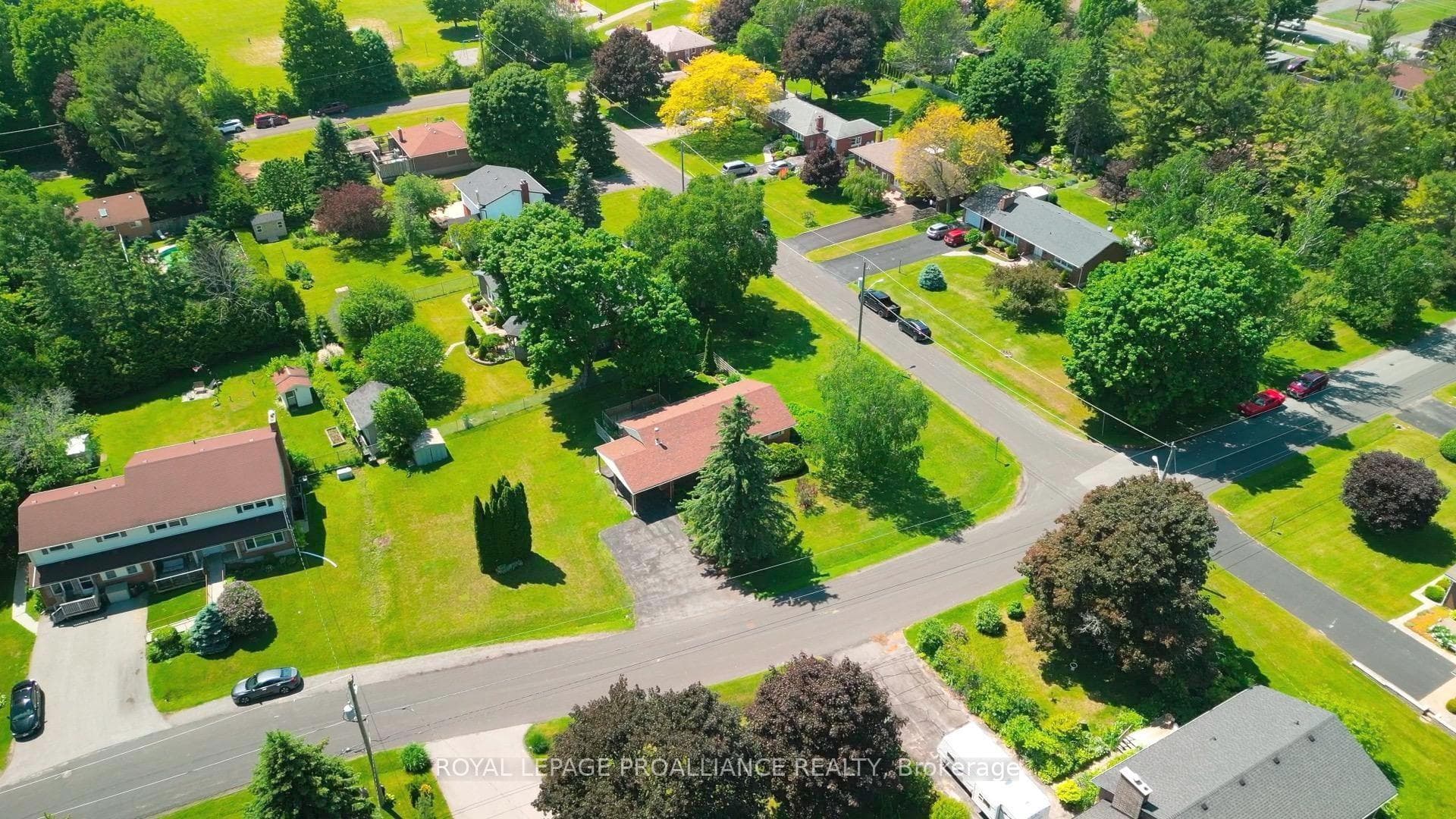 7 Maplewood Boulevard photo 3