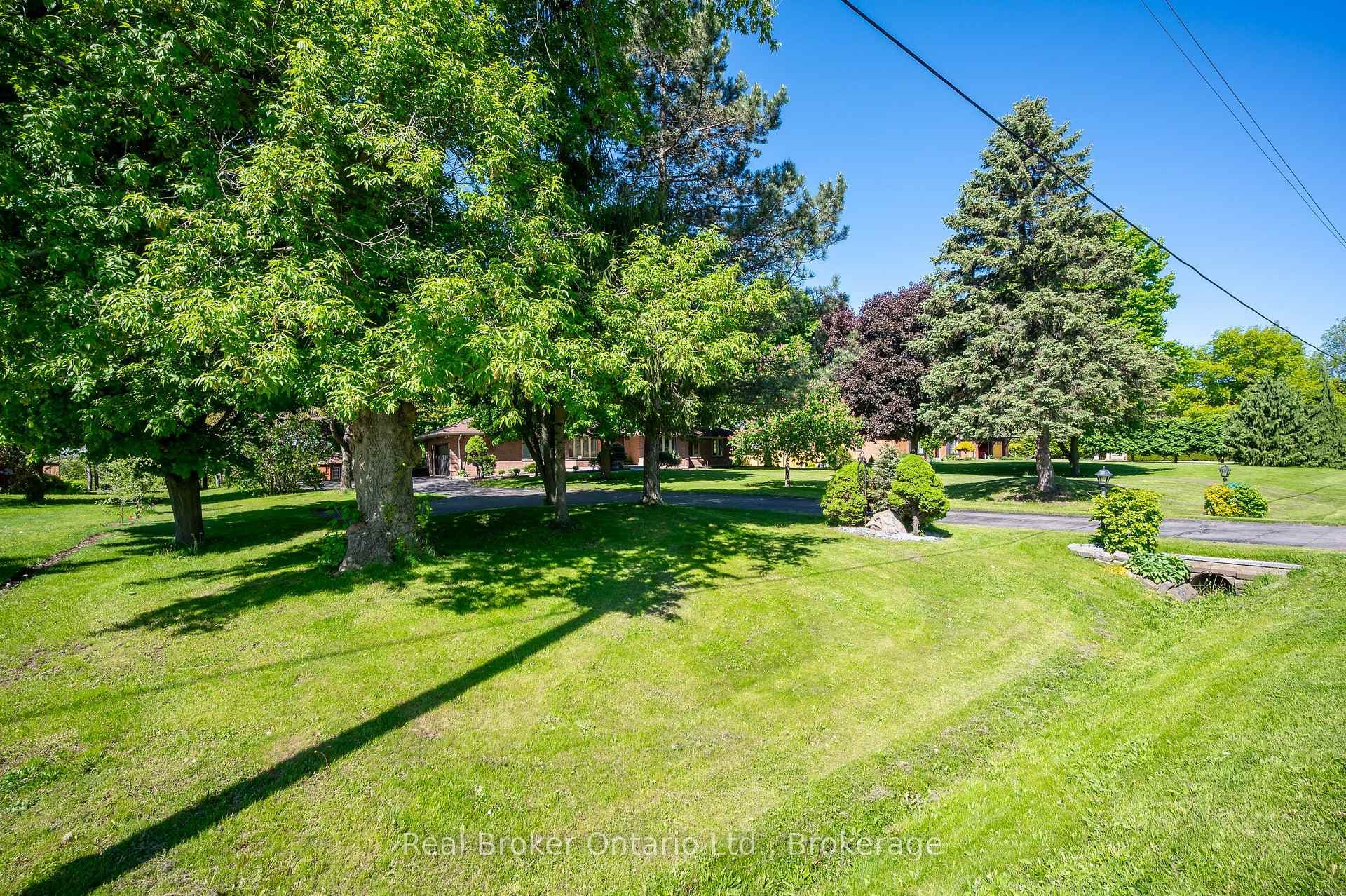 10158 Old Pine Crest Road photo 8