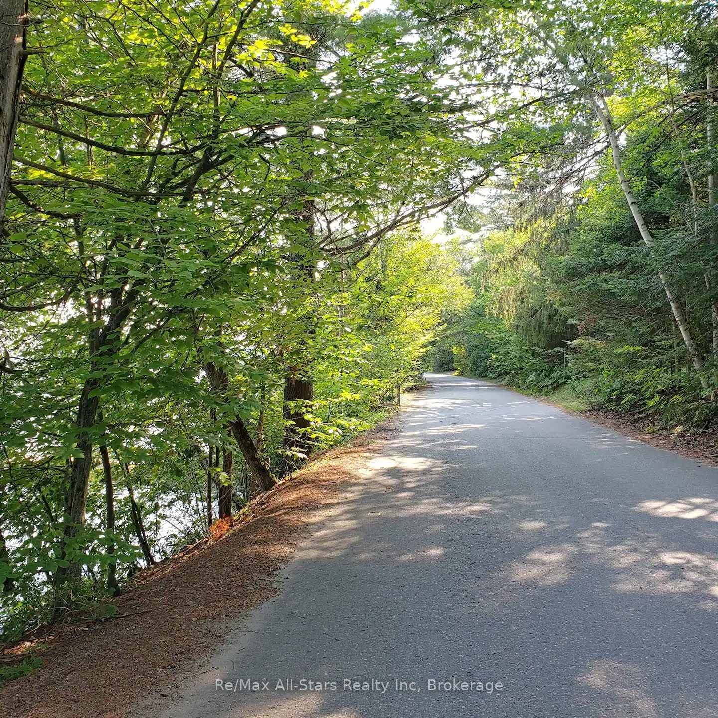 1037 Glenmount Road photo 23