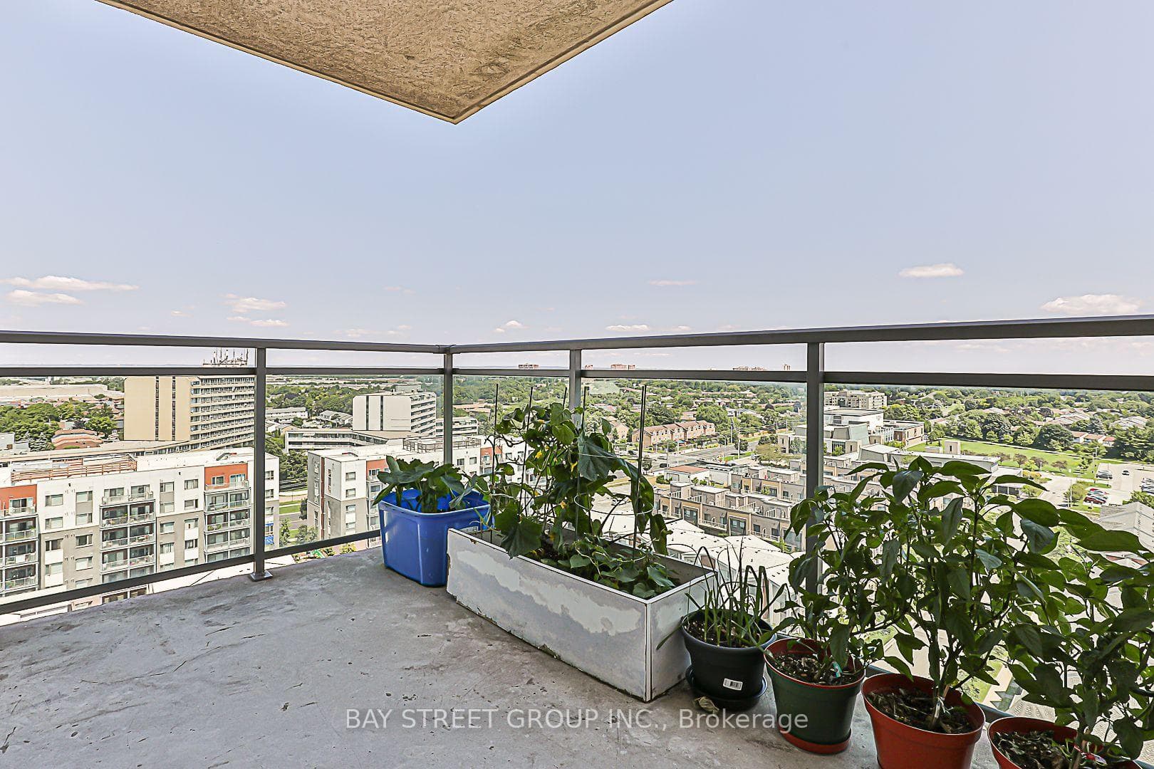 6 Rosebank Drive Unit 16C photo 31